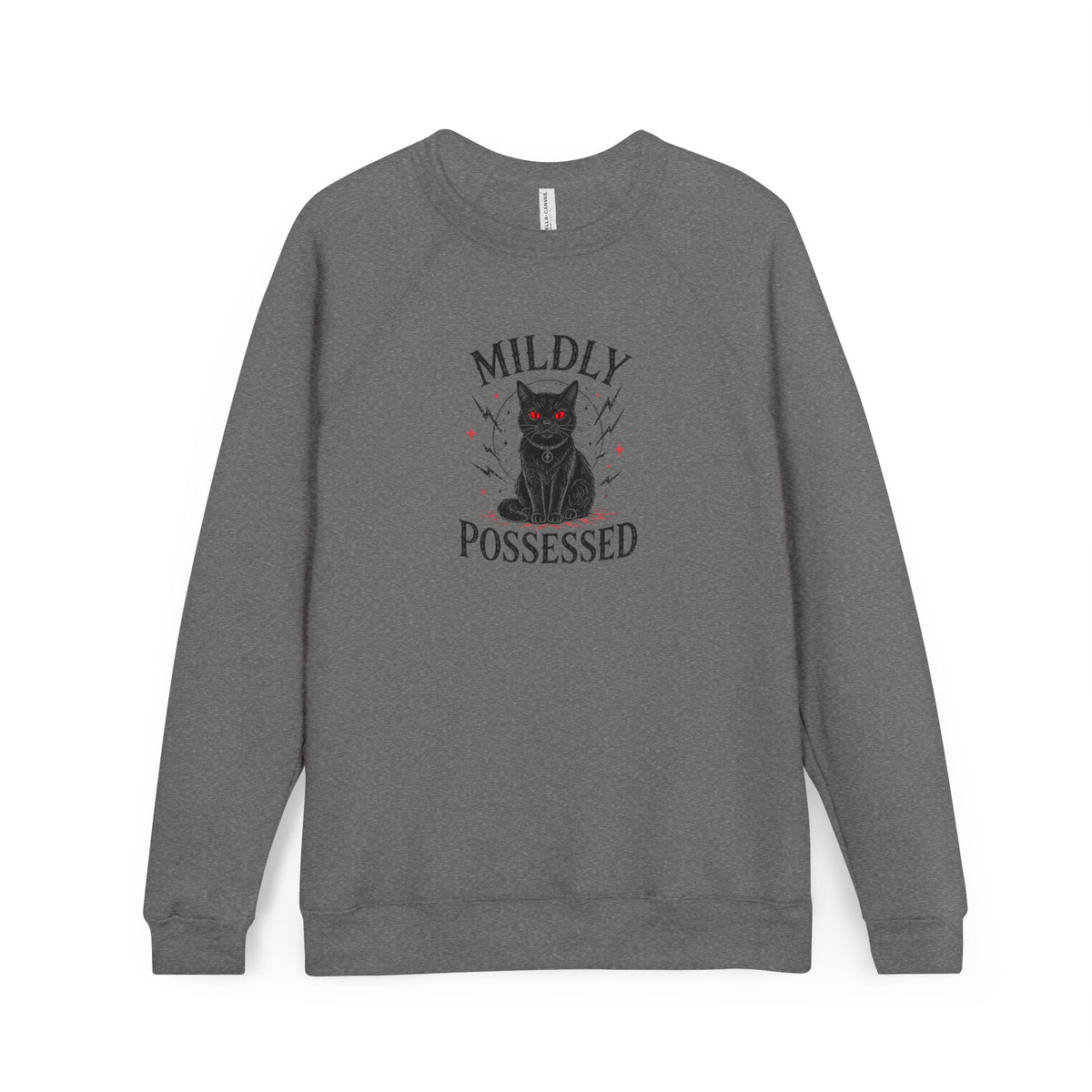 Mildly Possessed Black Cat Raglan Sweatshirt - Clothing, Unisex, Sweatshirts - EpiAl's Shop