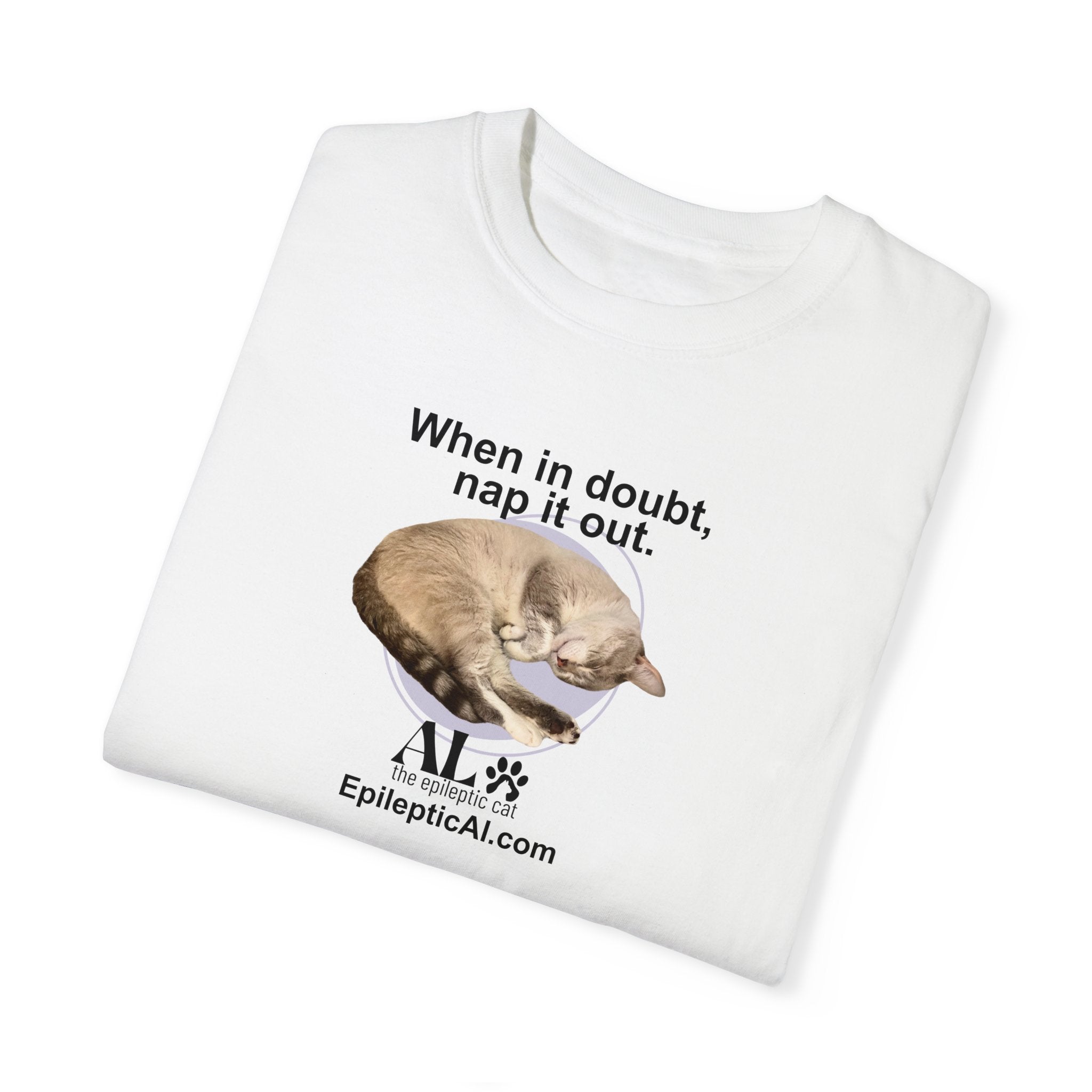 Nap It Out Al Unisex Garment-Dyed T-shirt - EpiAl's Shop