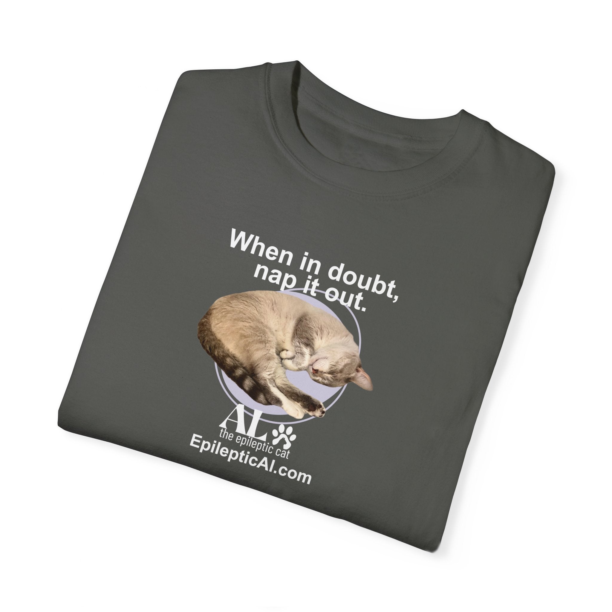 Nap It Out Al Unisex Garment-Dyed T-shirt - EpiAl's Shop