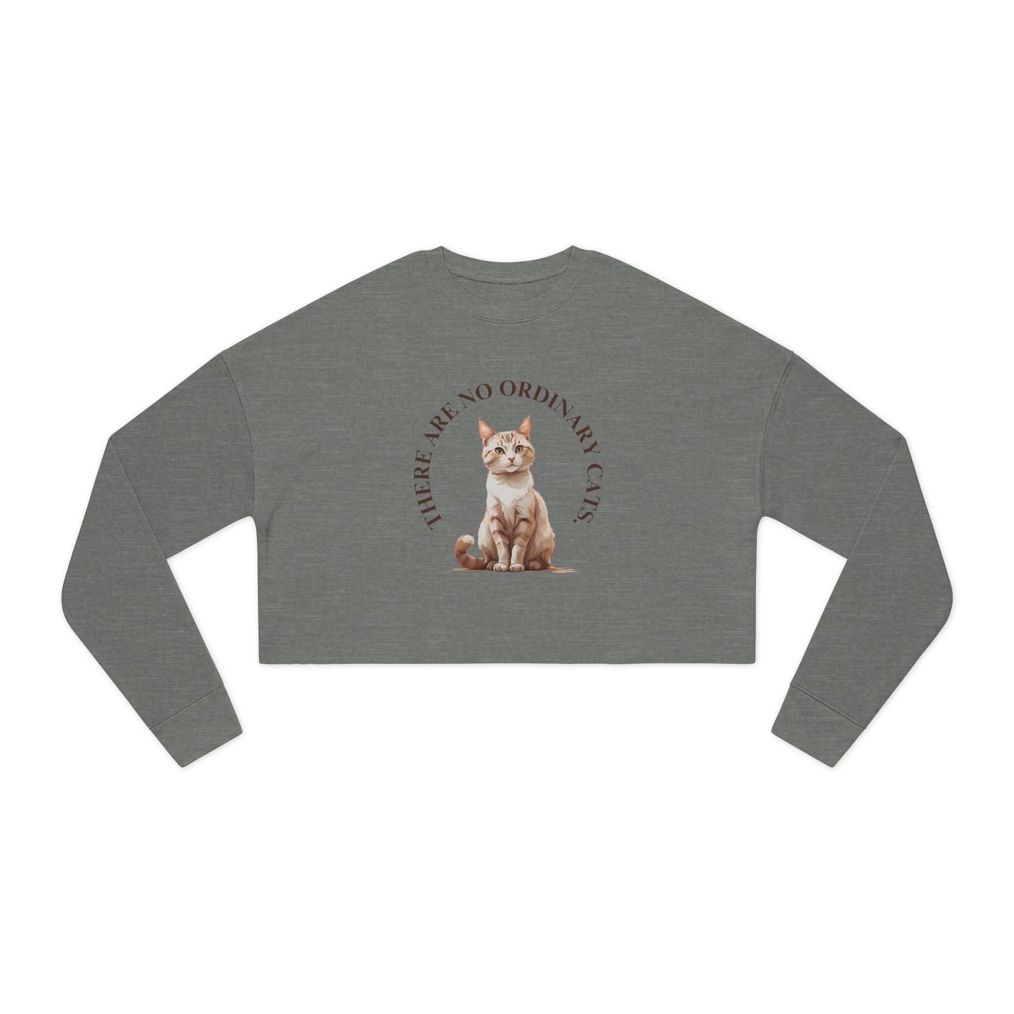 No Ordinary Cats Women's Cropped Sweatshirt - Clothing, Sweatshirts, Crop - EpiAl's Shop