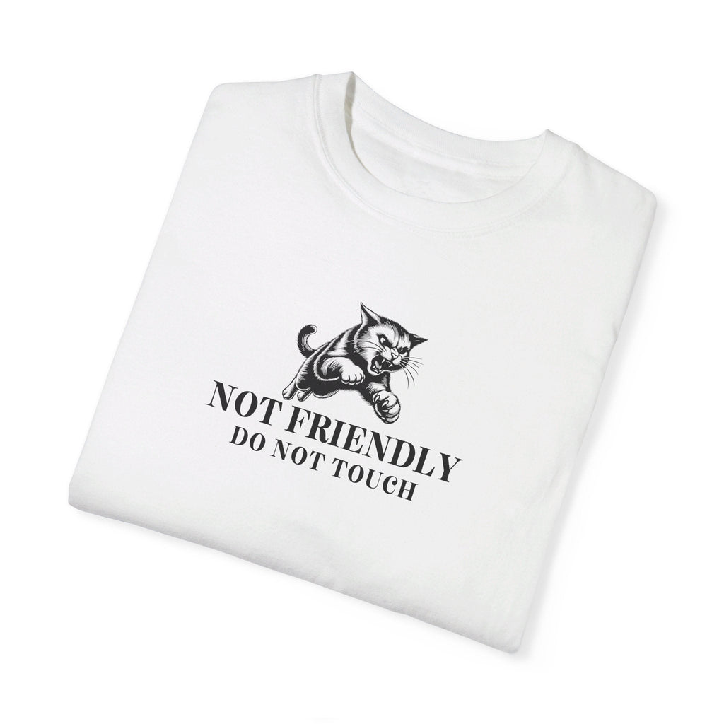 Not Friendly Unisex Garment - Dyed T - shirt - T - Shirt - EpiAl's Shop
