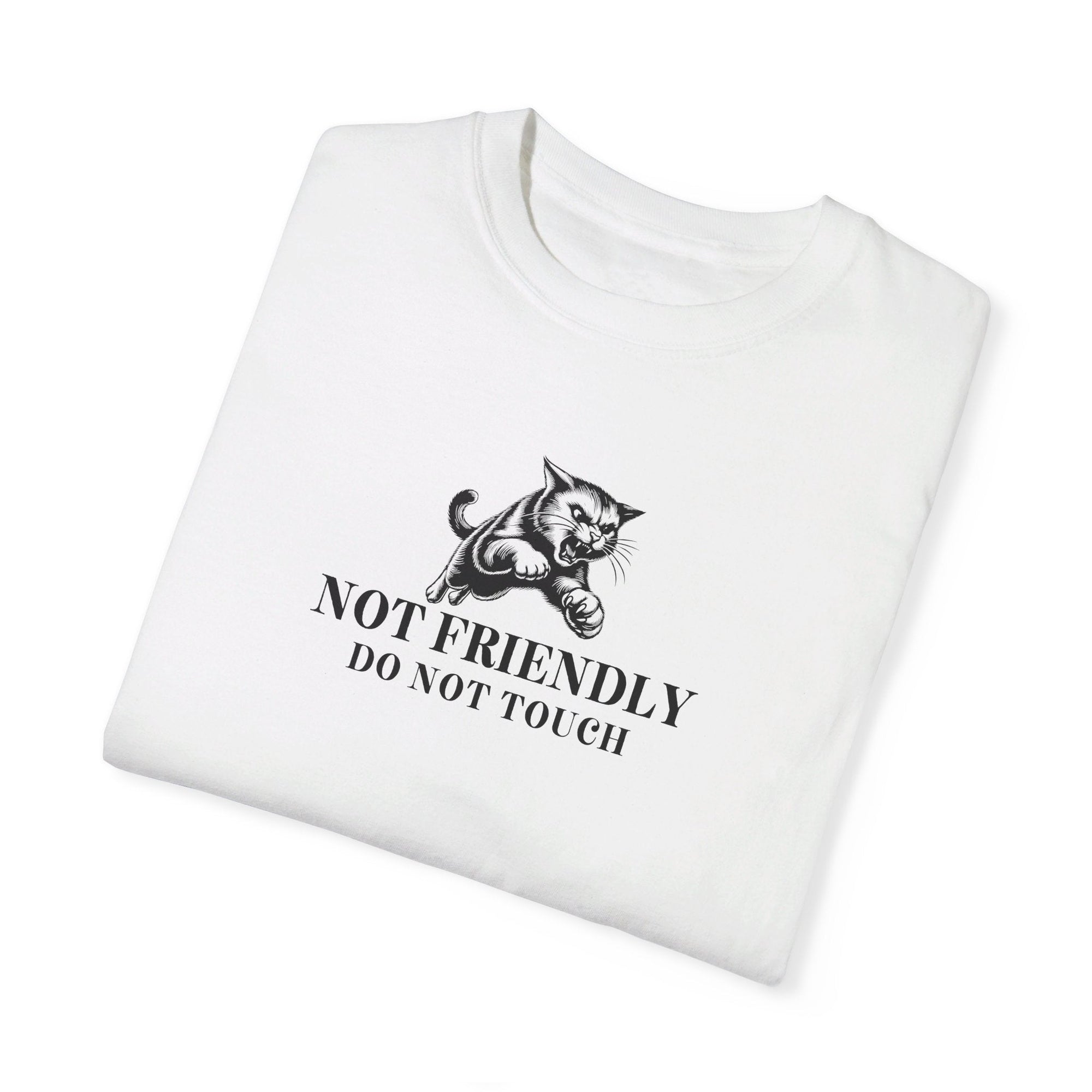 Not Friendly Unisex Garment - Dyed T - shirt - T - Shirt - EpiAl's Shop