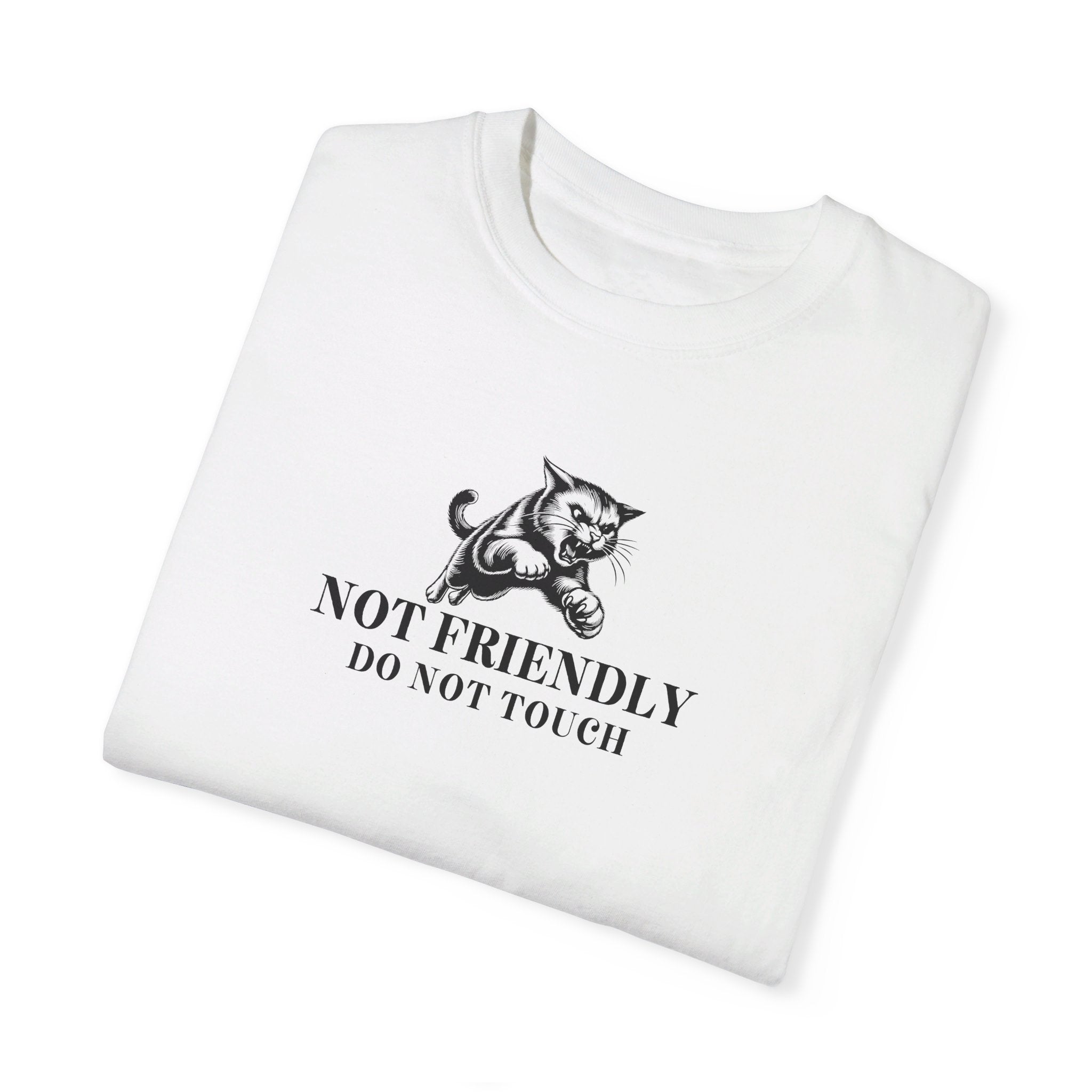 Not Friendly Unisex Garment - Dyed T - shirt - T - Shirt - EpiAl's Shop