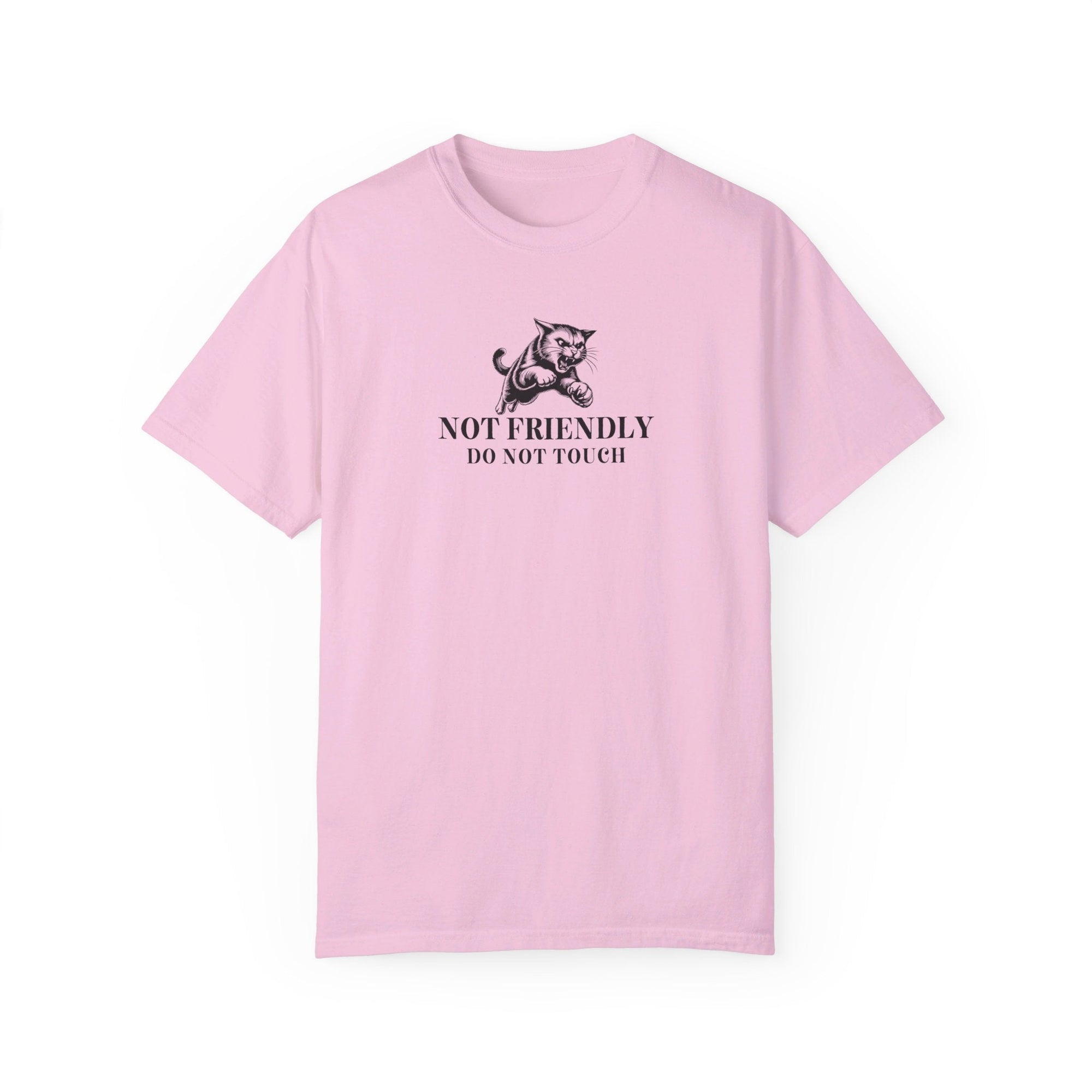 Not Friendly Unisex Garment - Dyed T - shirt - T - Shirt - EpiAl's Shop