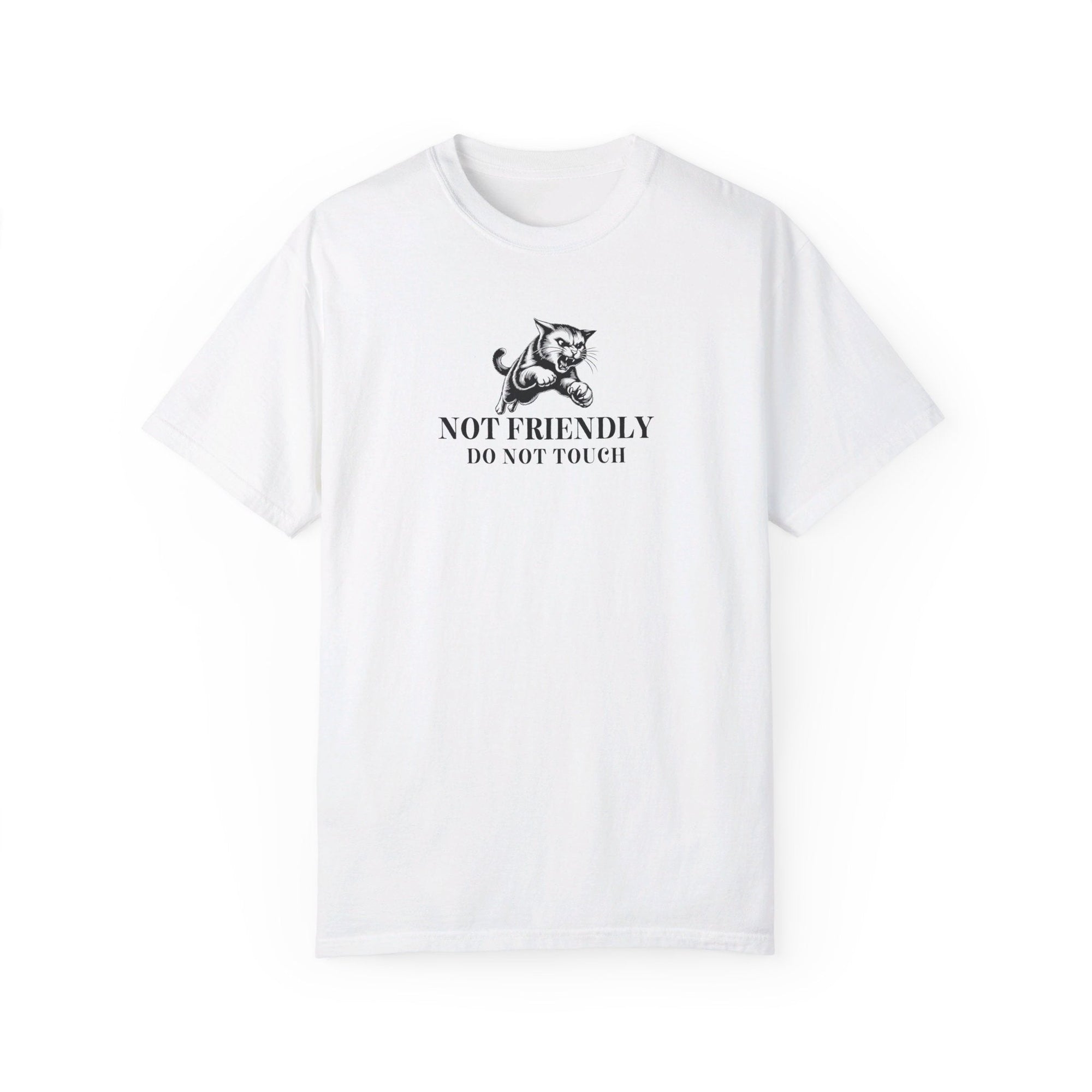 Not Friendly Unisex Garment - Dyed T - shirt - T - Shirt - EpiAl's Shop