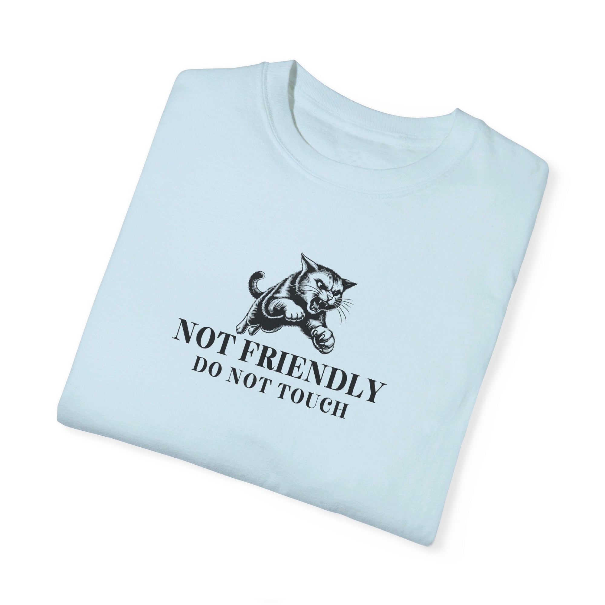 Not Friendly Unisex Garment - Dyed T - shirt - T - Shirt - EpiAl's Shop