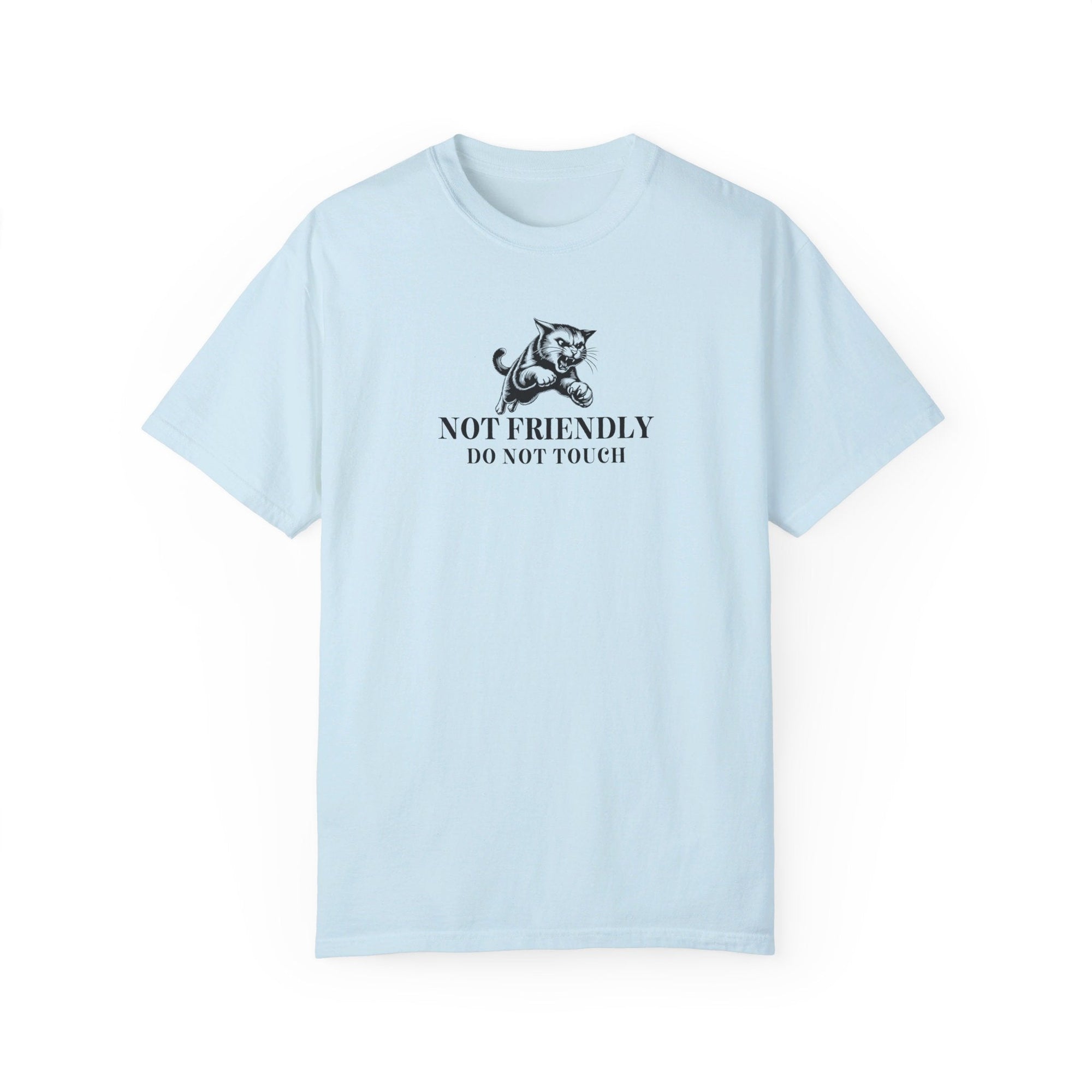 Not Friendly Unisex Garment - Dyed T - shirt - T - Shirt - EpiAl's Shop
