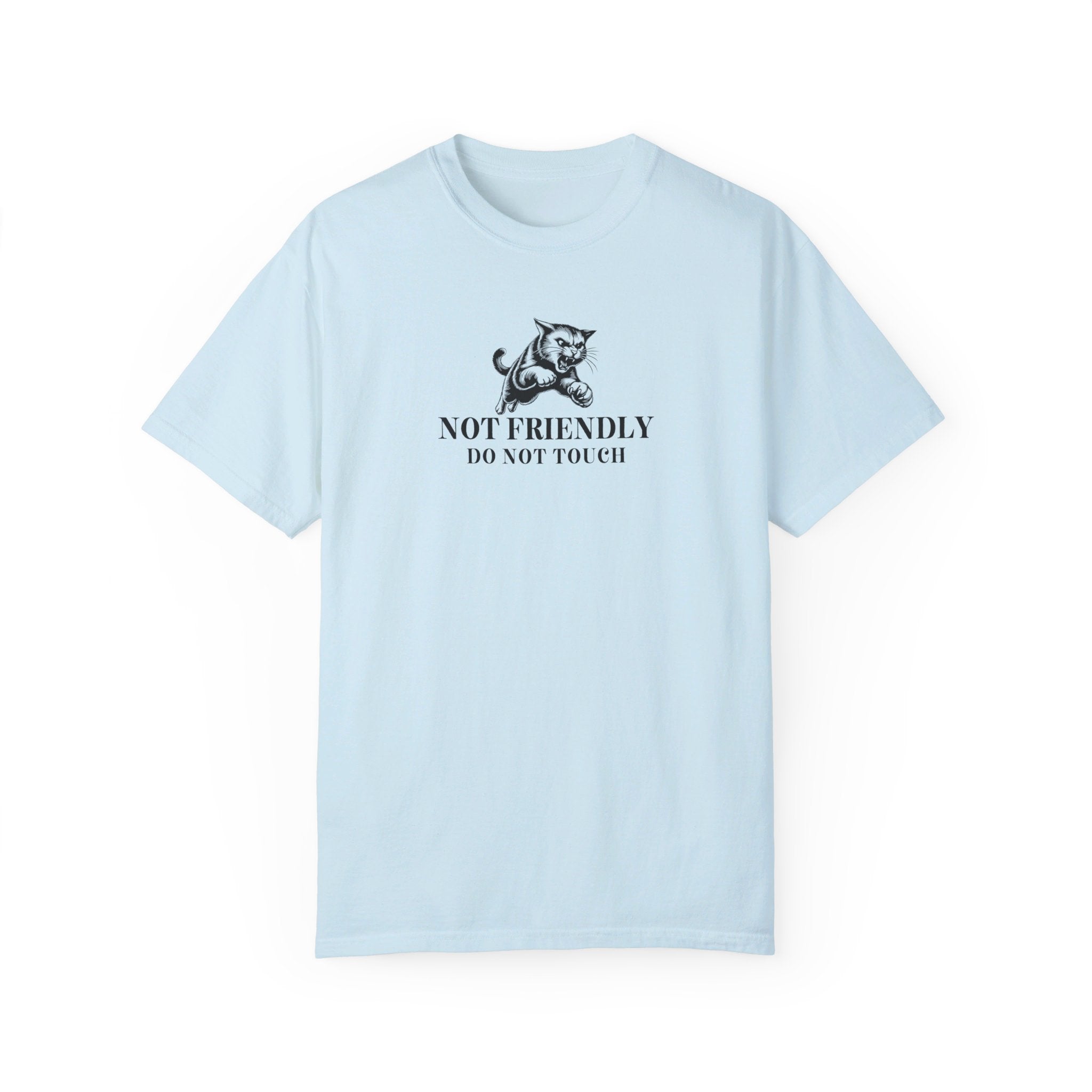 Not Friendly Unisex Garment - Dyed T - shirt - T - Shirt - EpiAl's Shop