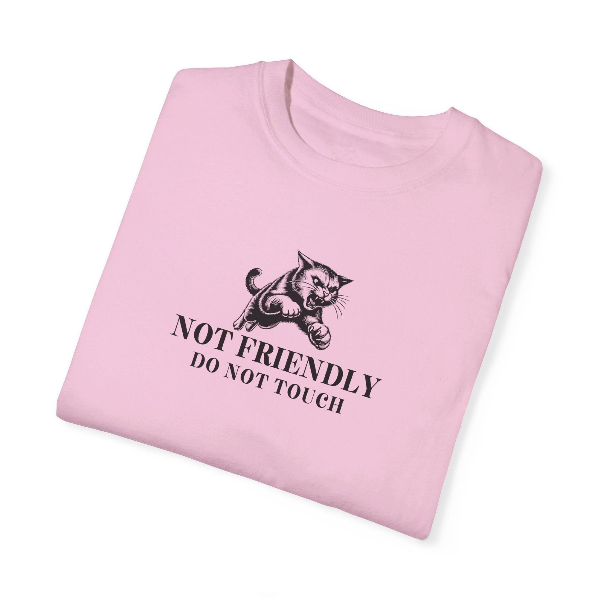 Not Friendly Unisex Garment - Dyed T - shirt - T - Shirt - EpiAl's Shop