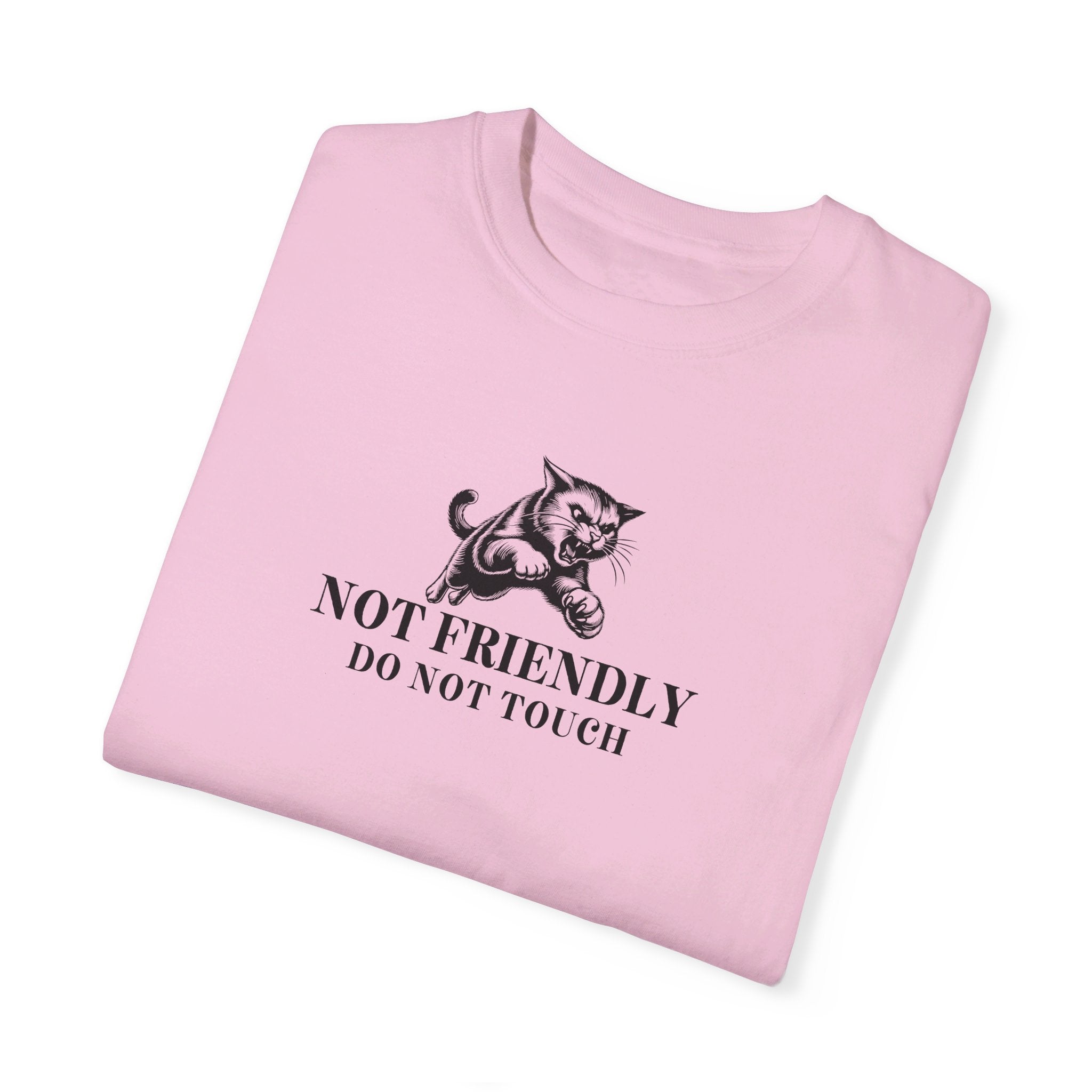 Not Friendly Unisex Garment - Dyed T - shirt - T - Shirt - EpiAl's Shop