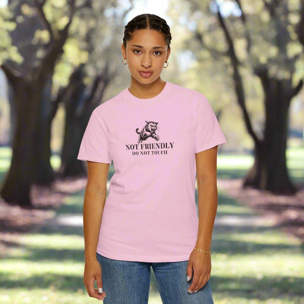 Not Friendly Unisex Garment - Dyed T - shirt - T - Shirt - EpiAl's Shop