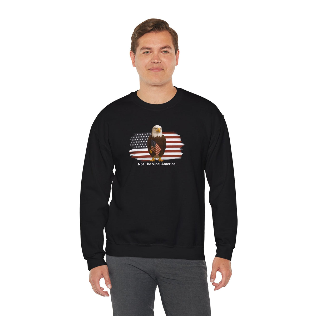 Not the Vibe, America – Political Parody Crewneck Sweatshirt - Clothing, Unisex, Sweatshirts - EpiAl's Shop