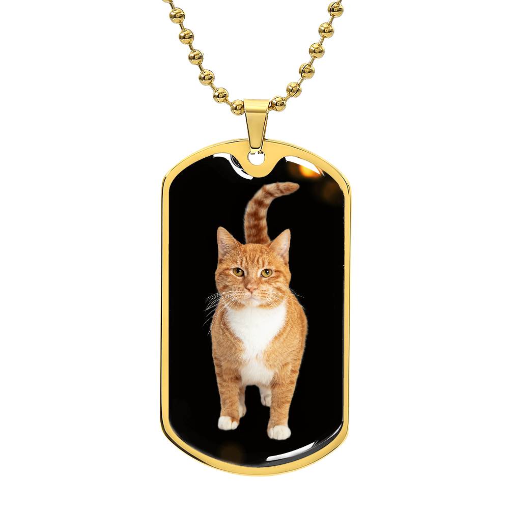 Orange Tabby Necklace - Jewelry - Epileptic Al’s Shop