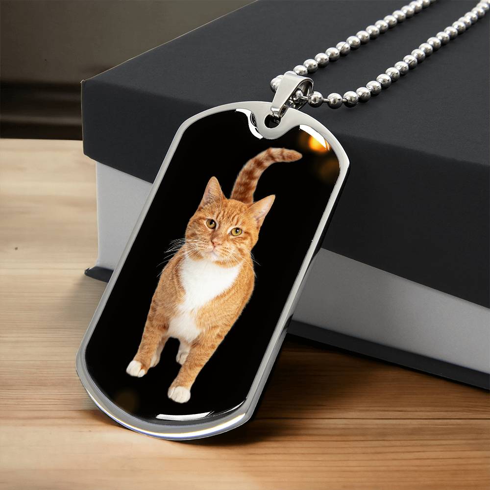 Orange Tabby Necklace - Jewelry - Epileptic Al’s Shop