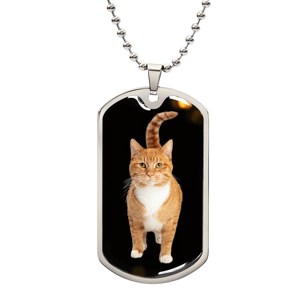 Orange Tabby Necklace - Jewelry - Epileptic Al’s Shop