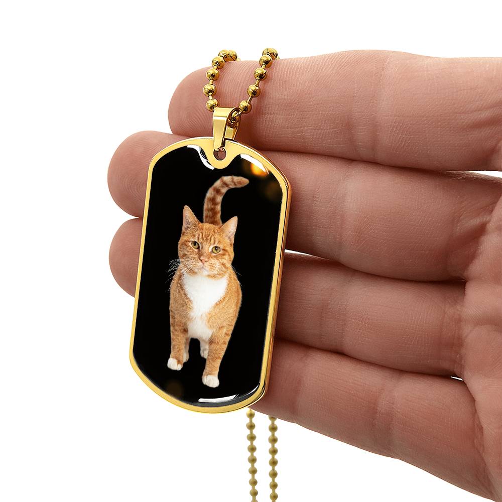Orange Tabby Necklace - Jewelry - Epileptic Al’s Shop