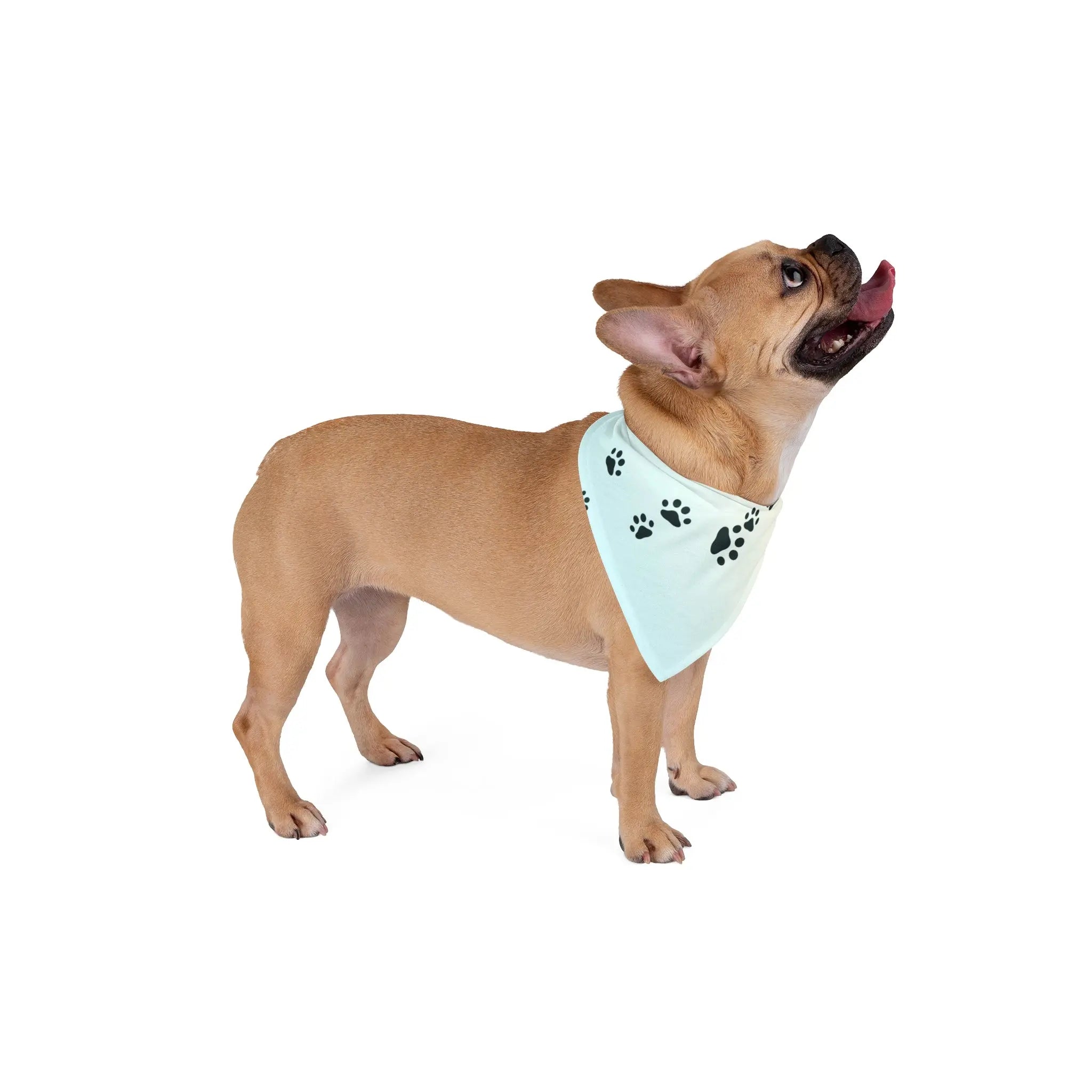 Paw Print Pet Bandana - Stylish Accessory for Dogs & Cats - Pet Supplies - EpiAl's Shop