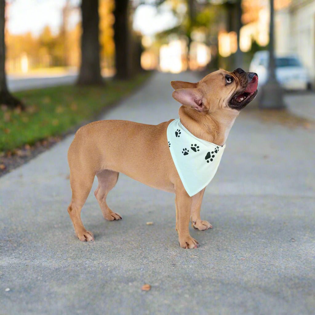 Paw Print Pet Bandana - Stylish Accessory for Dogs & Cats - Pet Supplies - EpiAl's Shop
