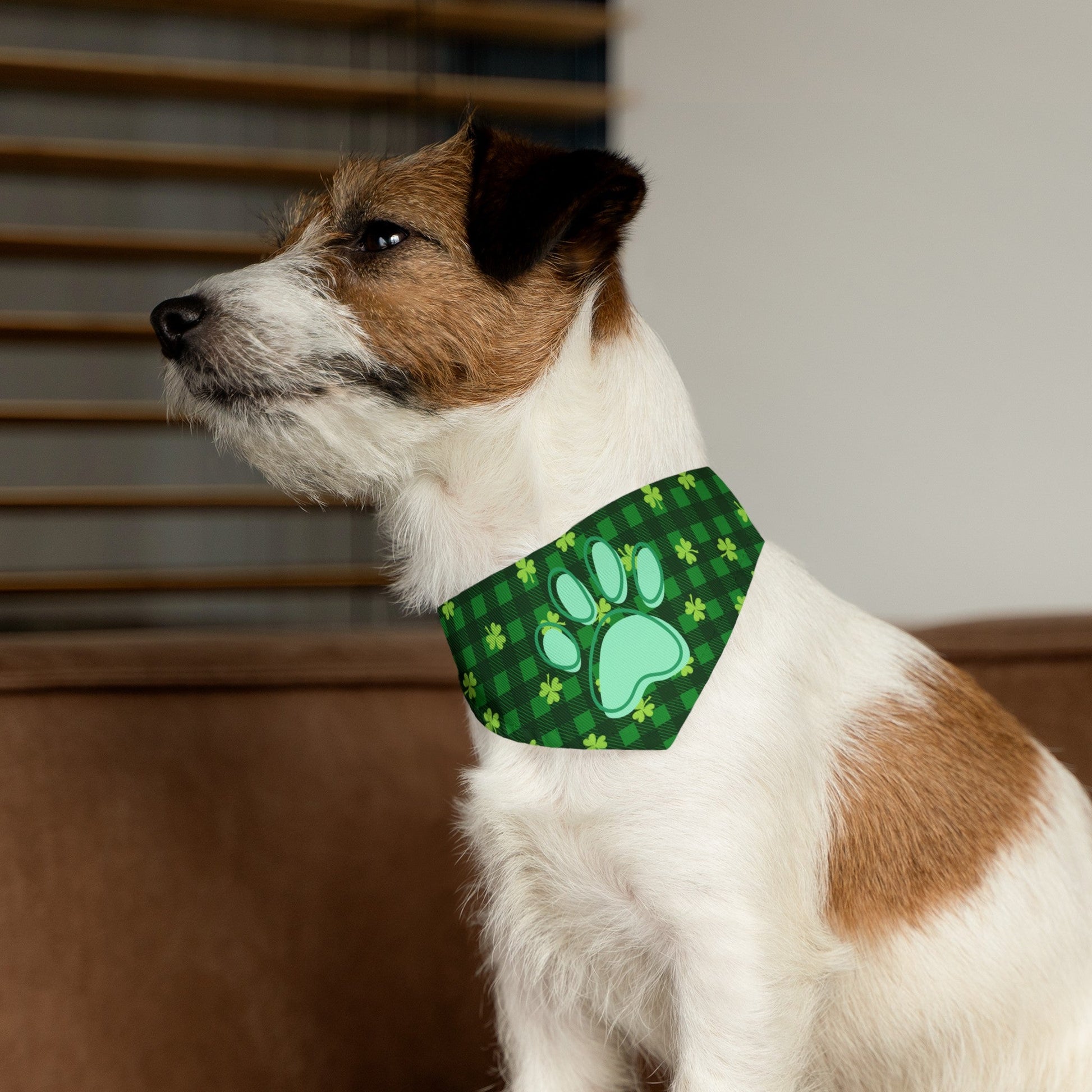 Pet Bandana Collar - Pets - Epileptic Al’s Shop