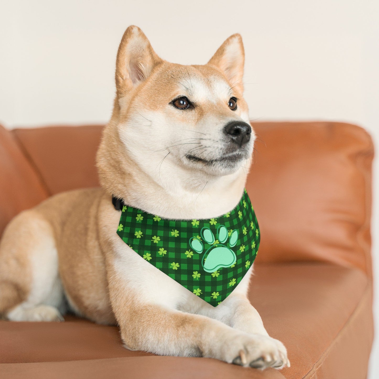 Pet Bandana Collar - Pets - Epileptic Al’s Shop
