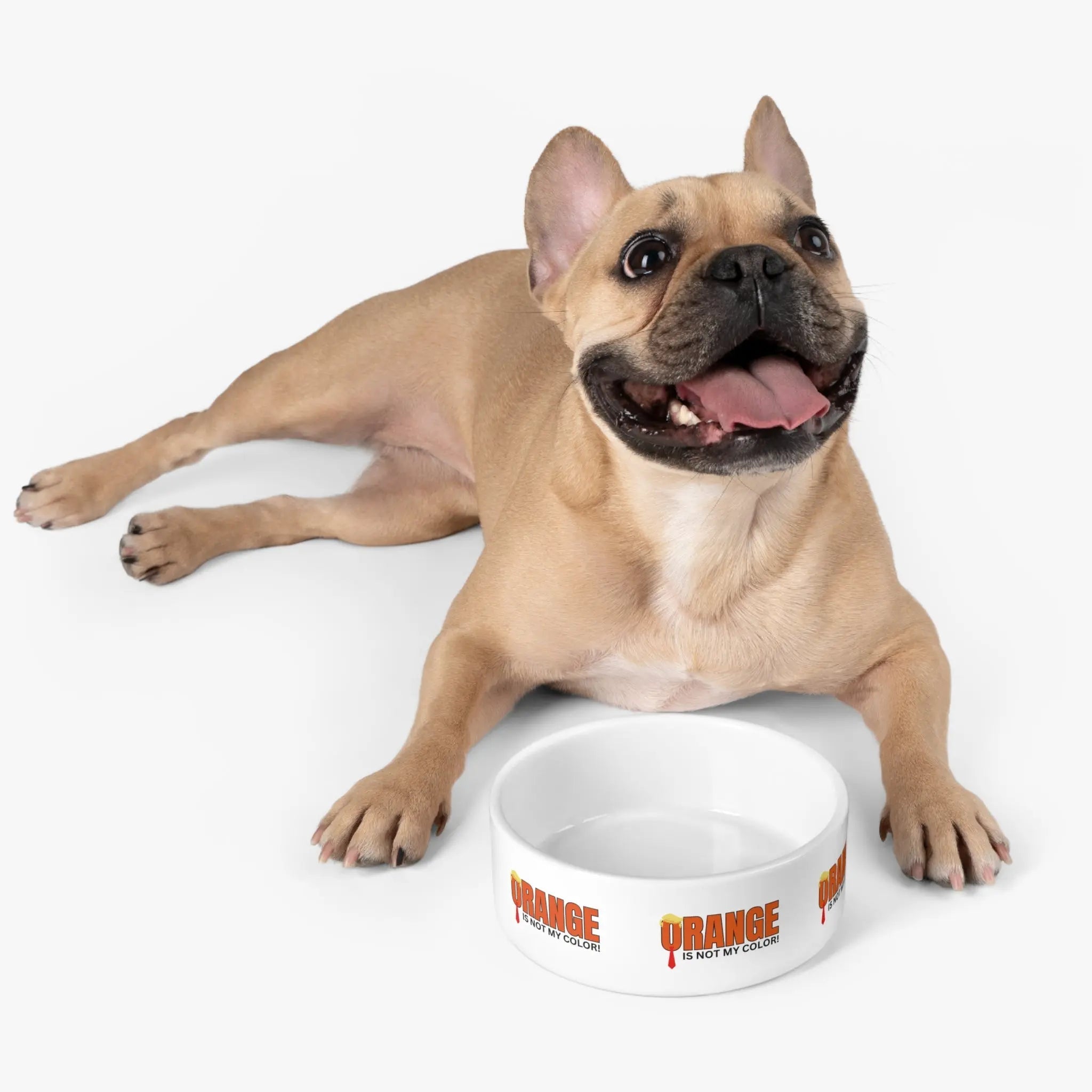 Playful Pet Bowl - "Orange is Not My Color!" - Pet Supplies - EpiAl's Shop