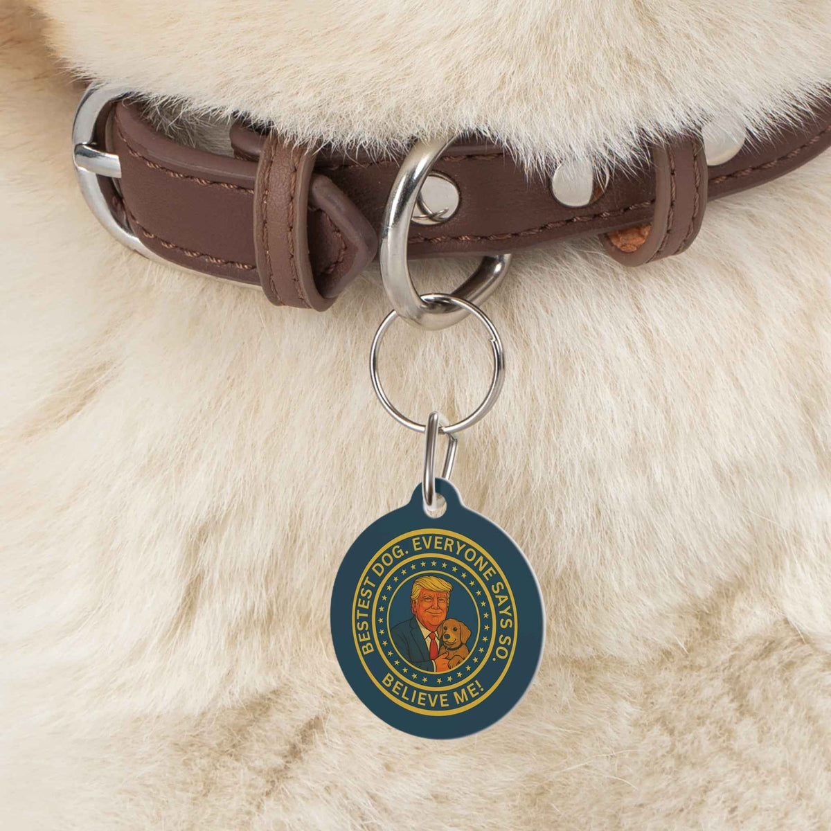 Political Parody Pet Tag – “Bestest Dog. Everyone Says So.” - Pet Supplies, Collars & Accessories - EpiAl's Shop