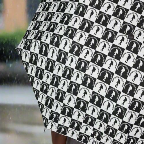 Raindrops Falling on my Cat Foldable Umbrella - Accessories, Misc., Umbrellas - EpiAl's Shop