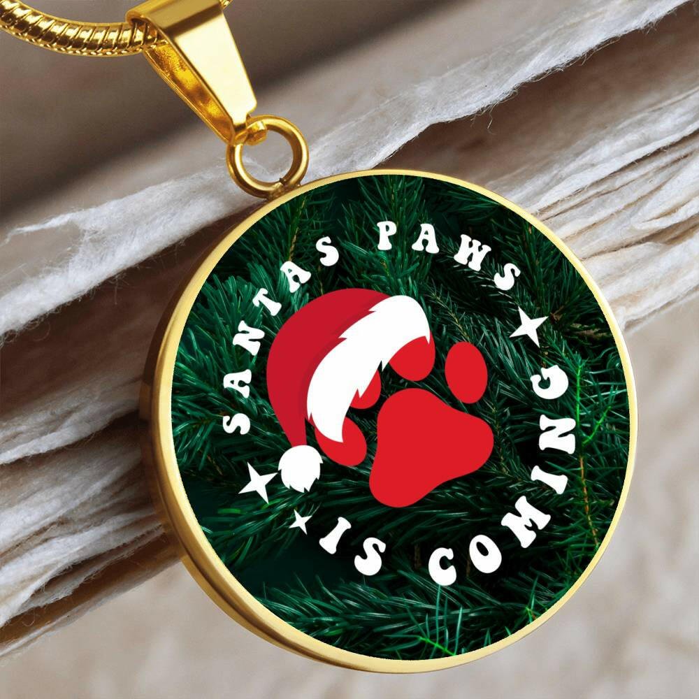 Santa Paws Necklace - Jewelry - Epileptic Al’s Shop