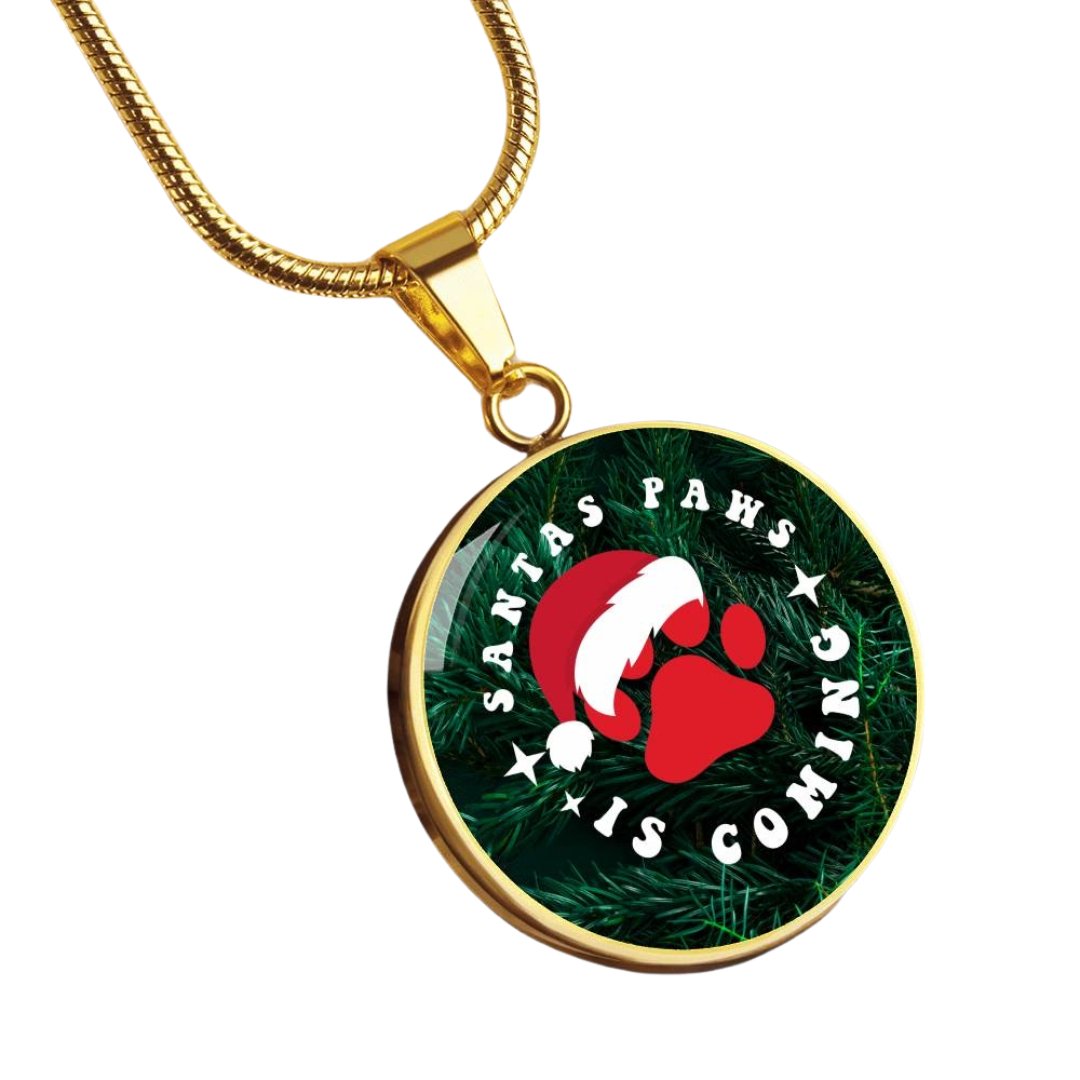 Santa Paws Necklace - Jewelry - Epileptic Al’s Shop