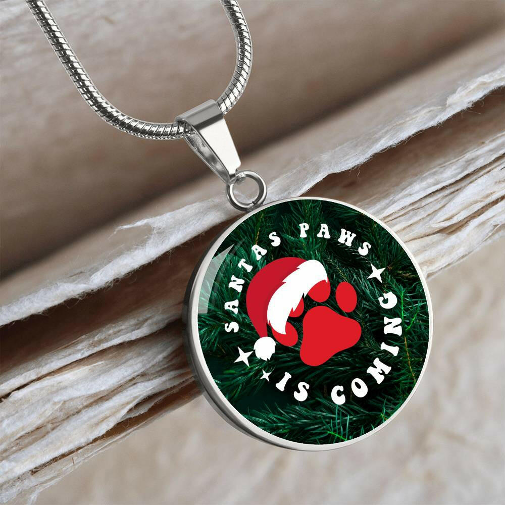 Santa Paws Necklace - Jewelry - Epileptic Al’s Shop