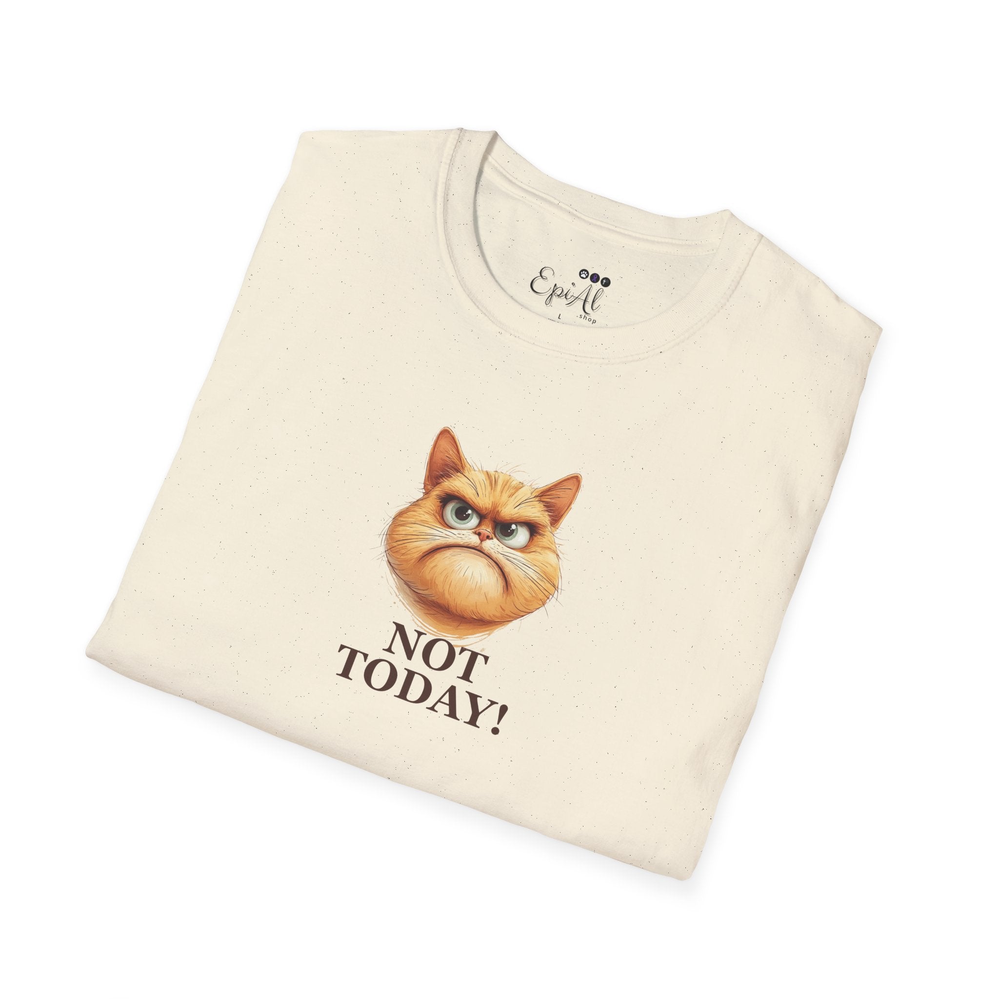Sassy Not Today Cat T-Shirt, Fun Graphic Tee - Clothing, T-shirts - EpiAl's Shop