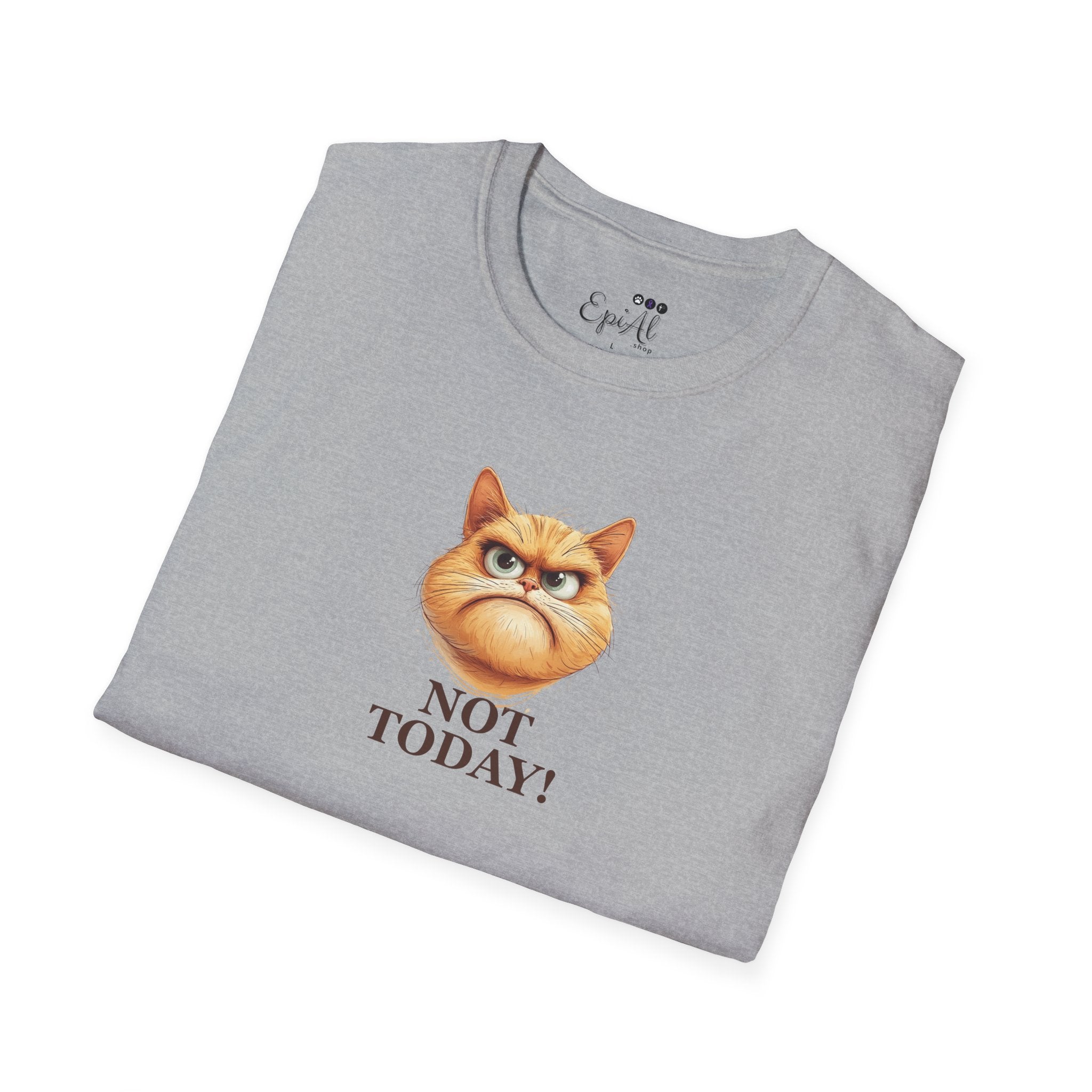 Sassy Not Today Cat T-Shirt, Fun Graphic Tee - Clothing, T-shirts - EpiAl's Shop