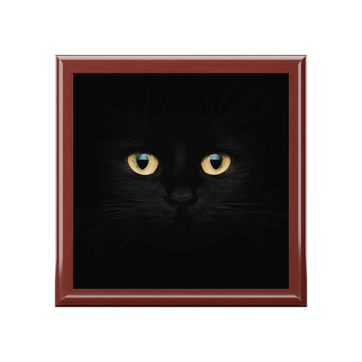 Silent Supervision Black Cat Jewelry Box | Mysterious Cat Keepsake Box - Decor, Jewelry Boxes - EpiAl's Shop