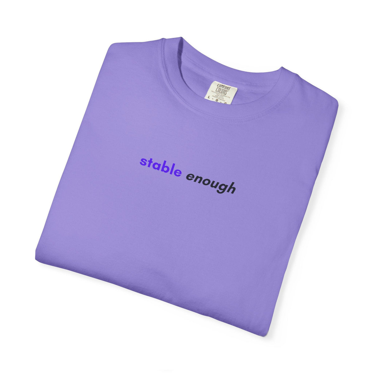 Stable Enough Epilepsy Awareness T-Shirt | Minimal Awareness Tee - Clothing, Unisex, T-Shirts - EpiAl's Shop