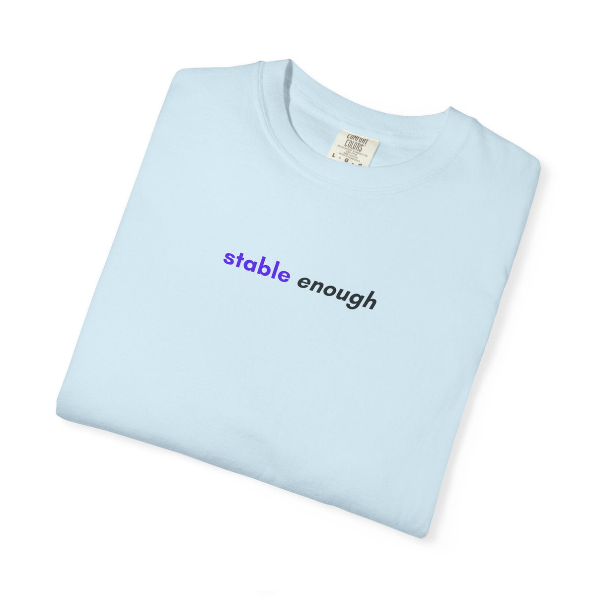 Stable Enough Epilepsy Awareness T-Shirt | Minimal Awareness Tee - Clothing, Unisex, T-Shirts - EpiAl's Shop