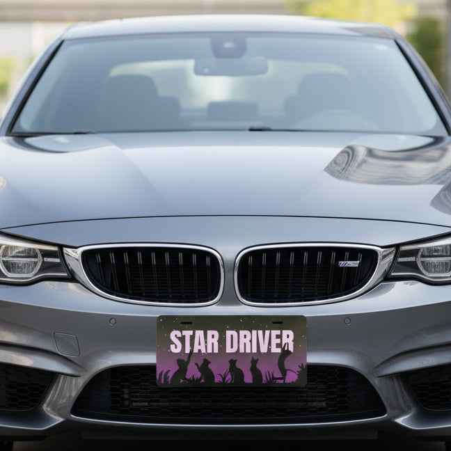 “Star Driver” Night Watchers Decorative Vanity Plate – 12" × 6" - Vehicle License Plates/Tags - EpiAl's Shop