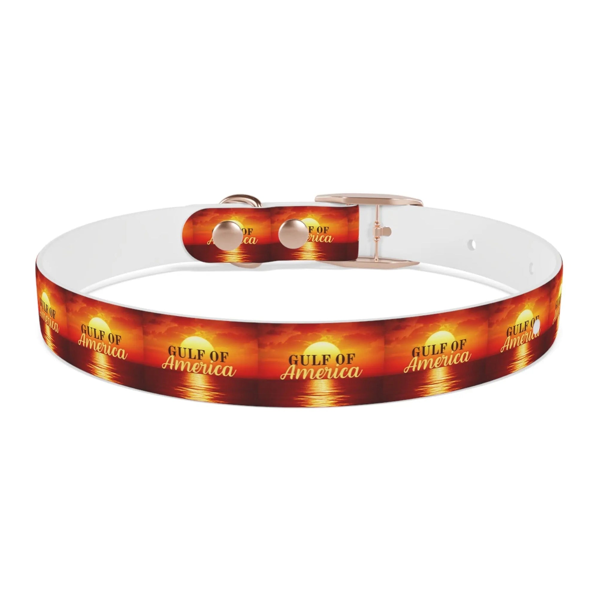 Trendy American Gulf Dog Collar - Stylish Pet Accessory - Pet Supplies - EpiAl's Shop
