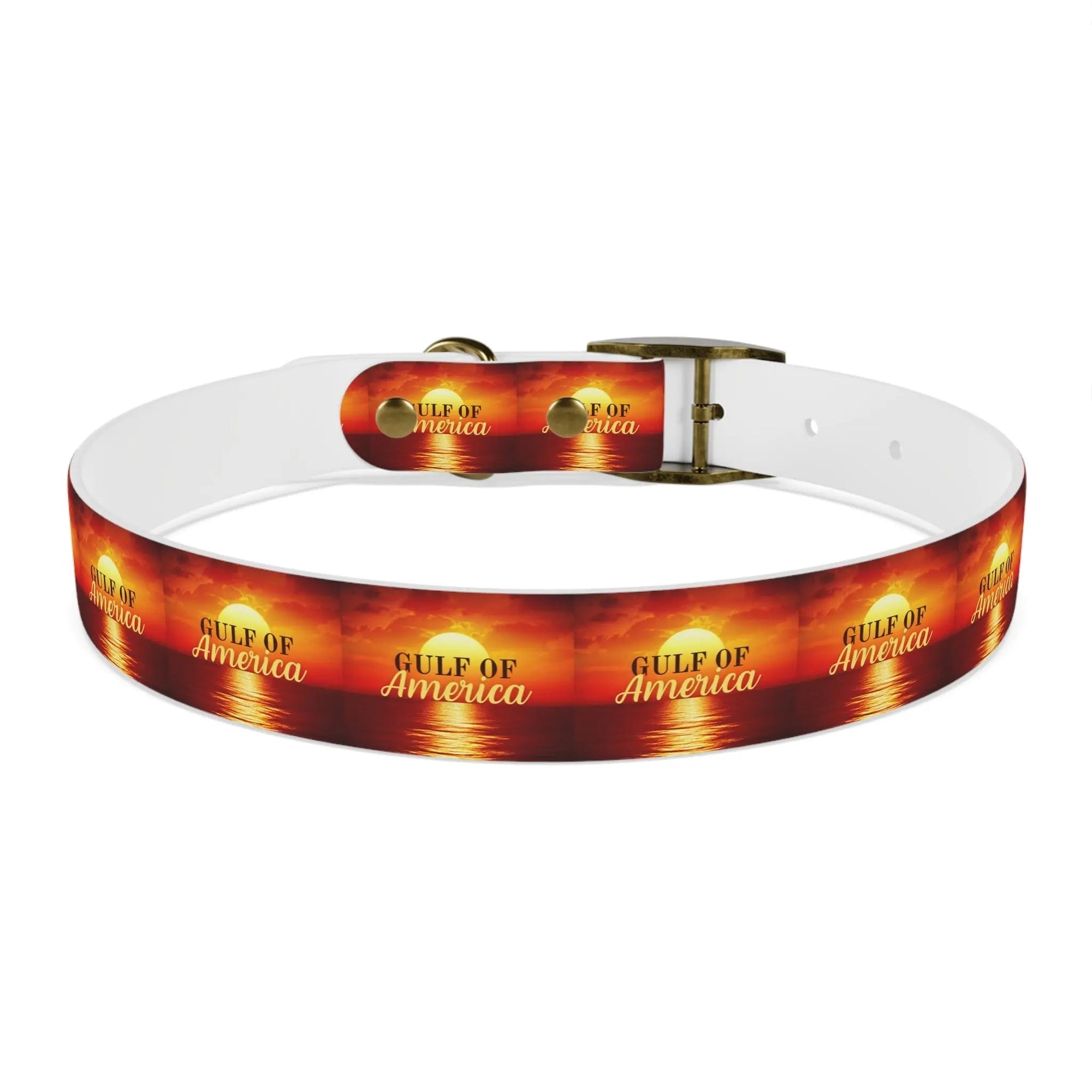 Trendy American Gulf Dog Collar - Stylish Pet Accessory - Pet Supplies - EpiAl's Shop