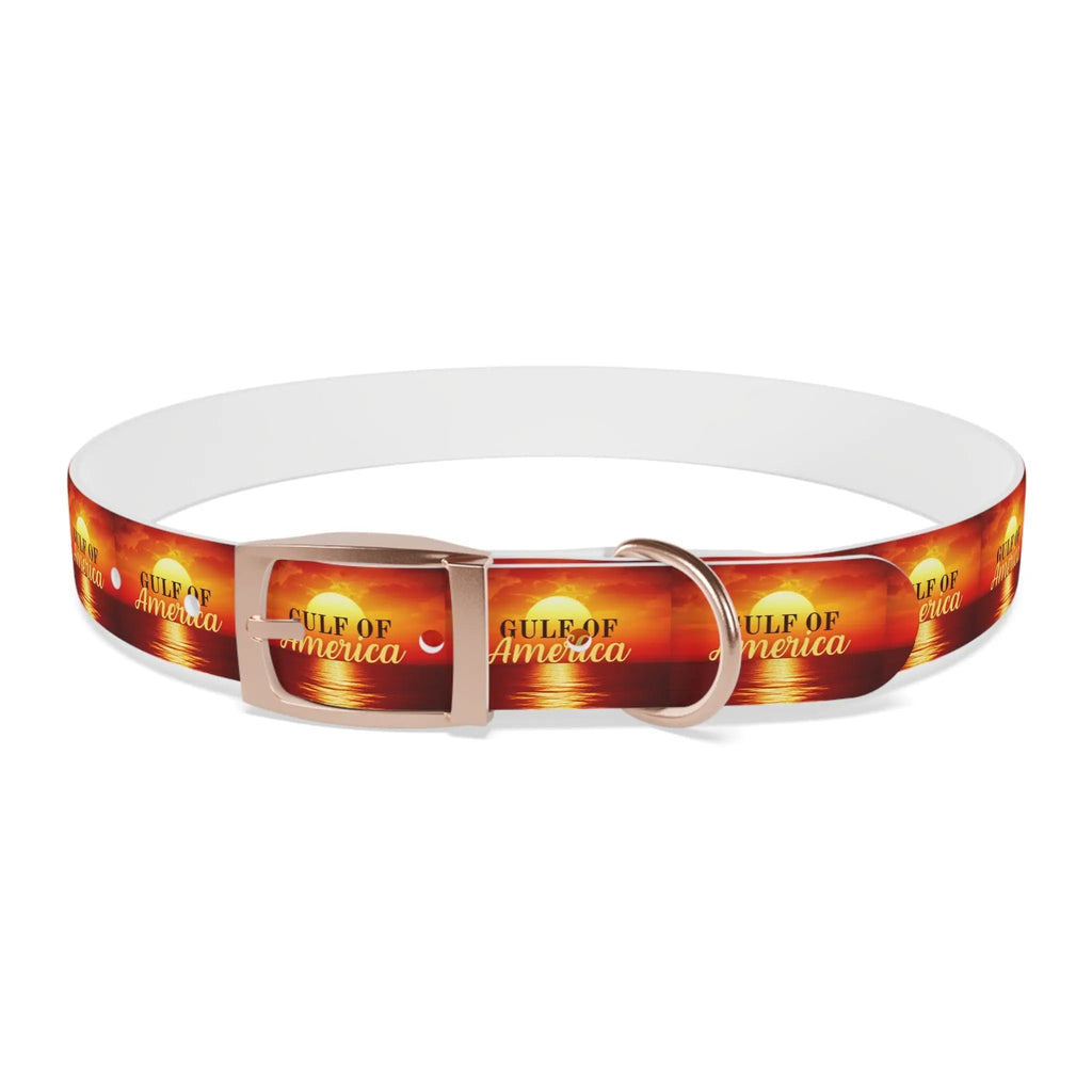 Trendy American Gulf Dog Collar - Stylish Pet Accessory - Pet Supplies - EpiAl's Shop