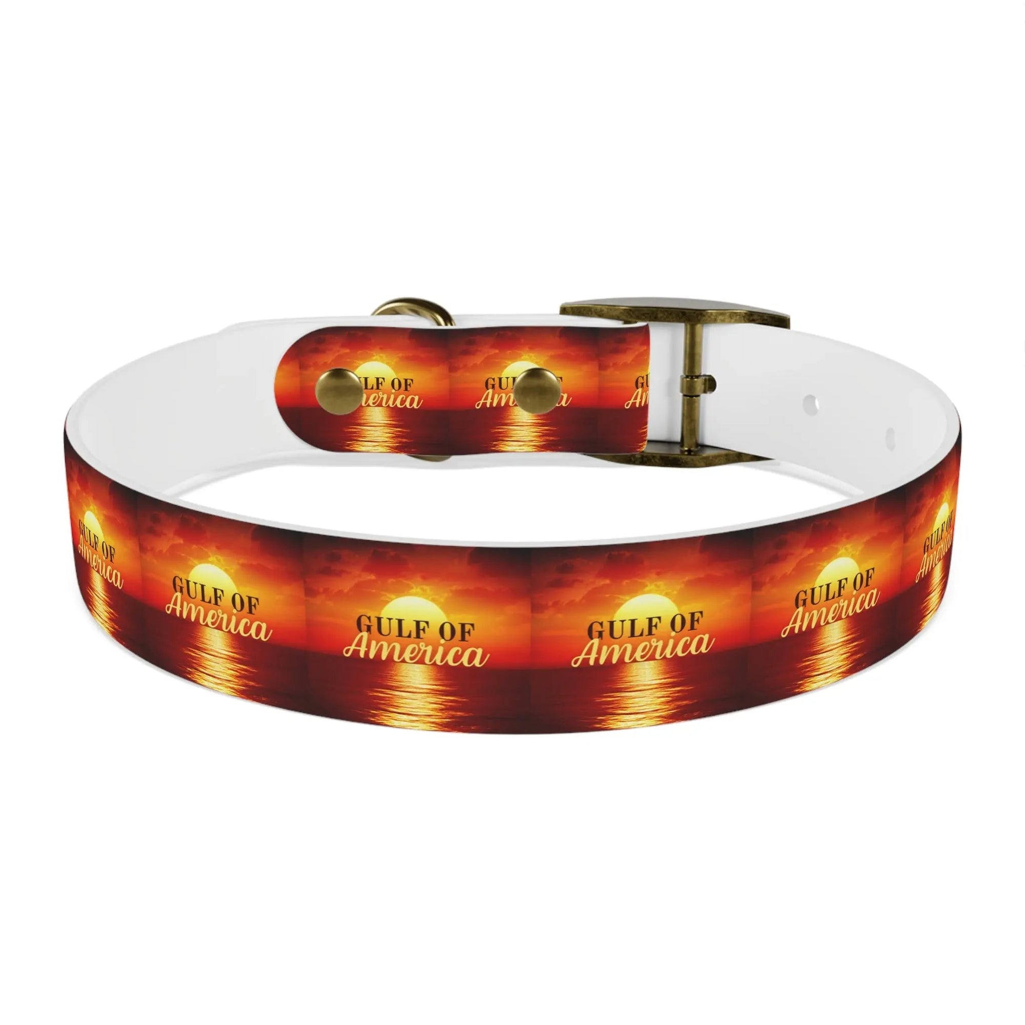 Trendy American Gulf Dog Collar - Stylish Pet Accessory - Pet Supplies - EpiAl's Shop