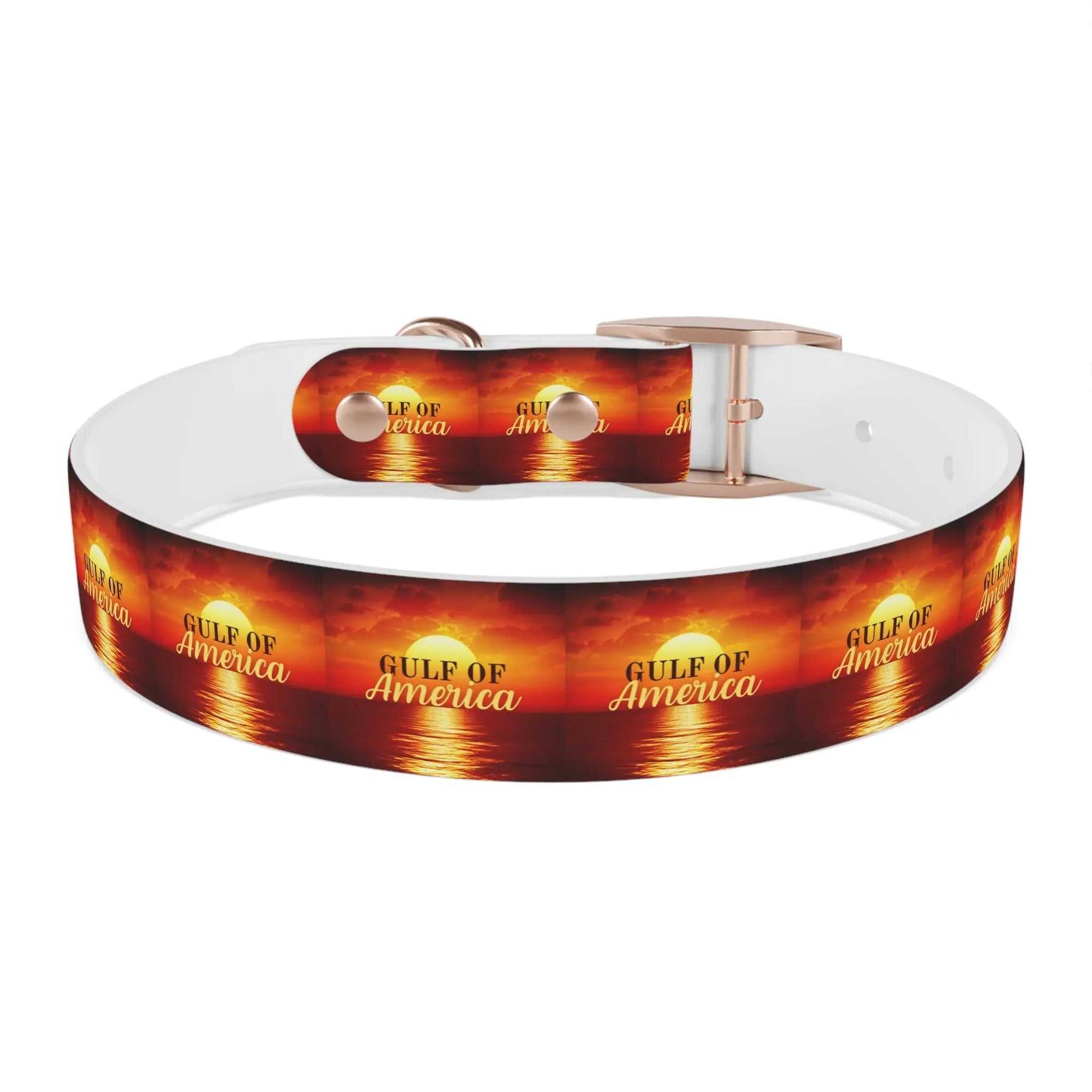 Trendy American Gulf Dog Collar - Stylish Pet Accessory - Pet Supplies - EpiAl's Shop