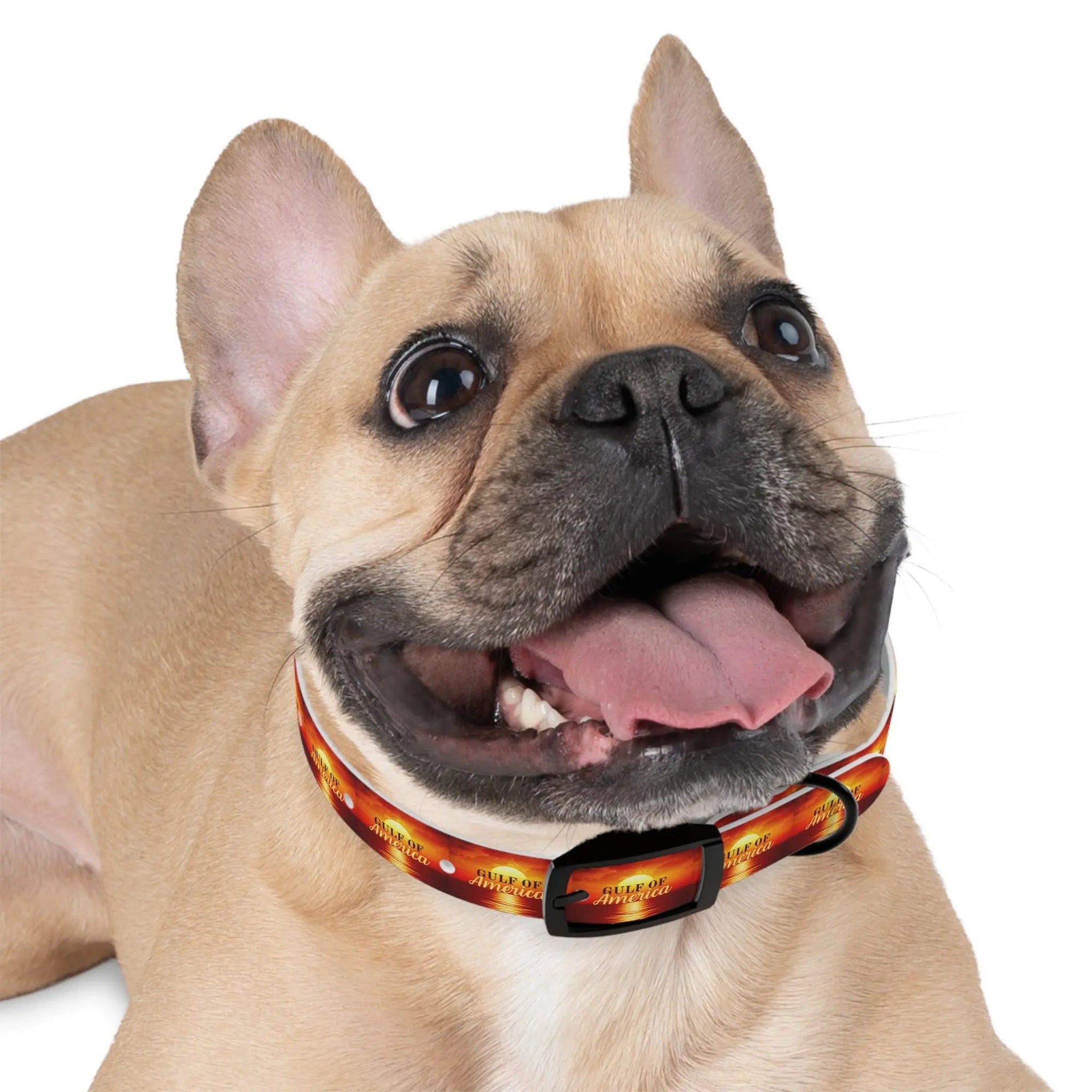 Trendy American Gulf Dog Collar - Stylish Pet Accessory - Pet Supplies - EpiAl's Shop