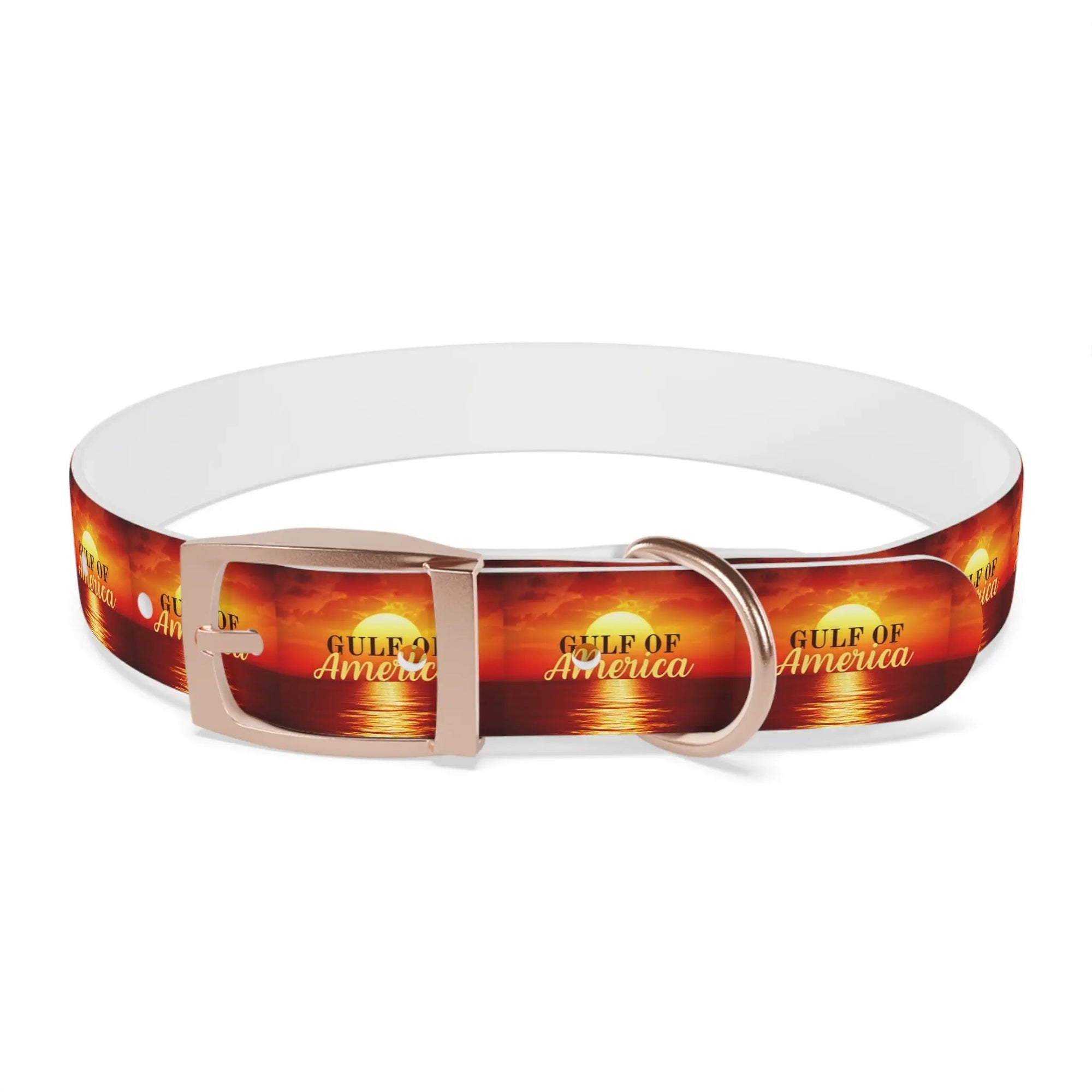 Trendy American Gulf Dog Collar - Stylish Pet Accessory - Pet Supplies - EpiAl's Shop