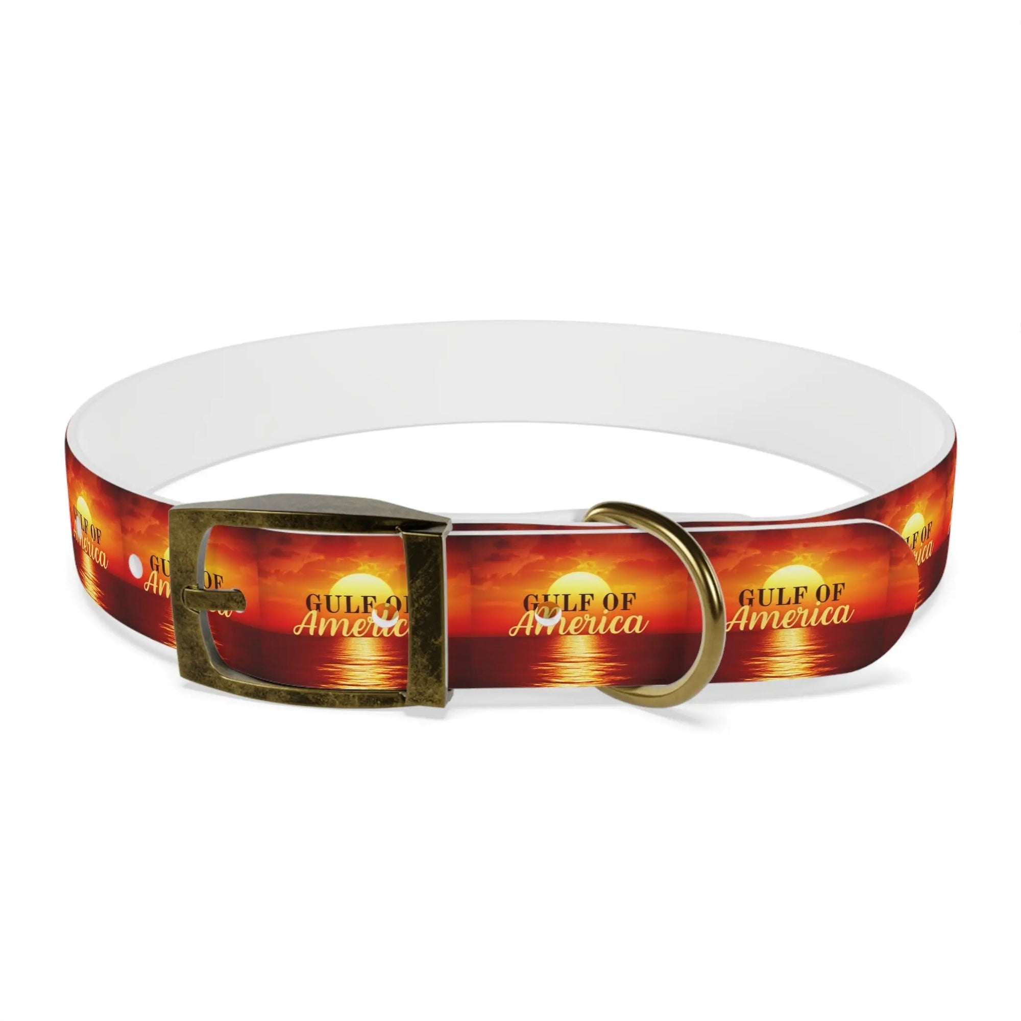 Trendy American Gulf Dog Collar - Stylish Pet Accessory - Pet Supplies - EpiAl's Shop