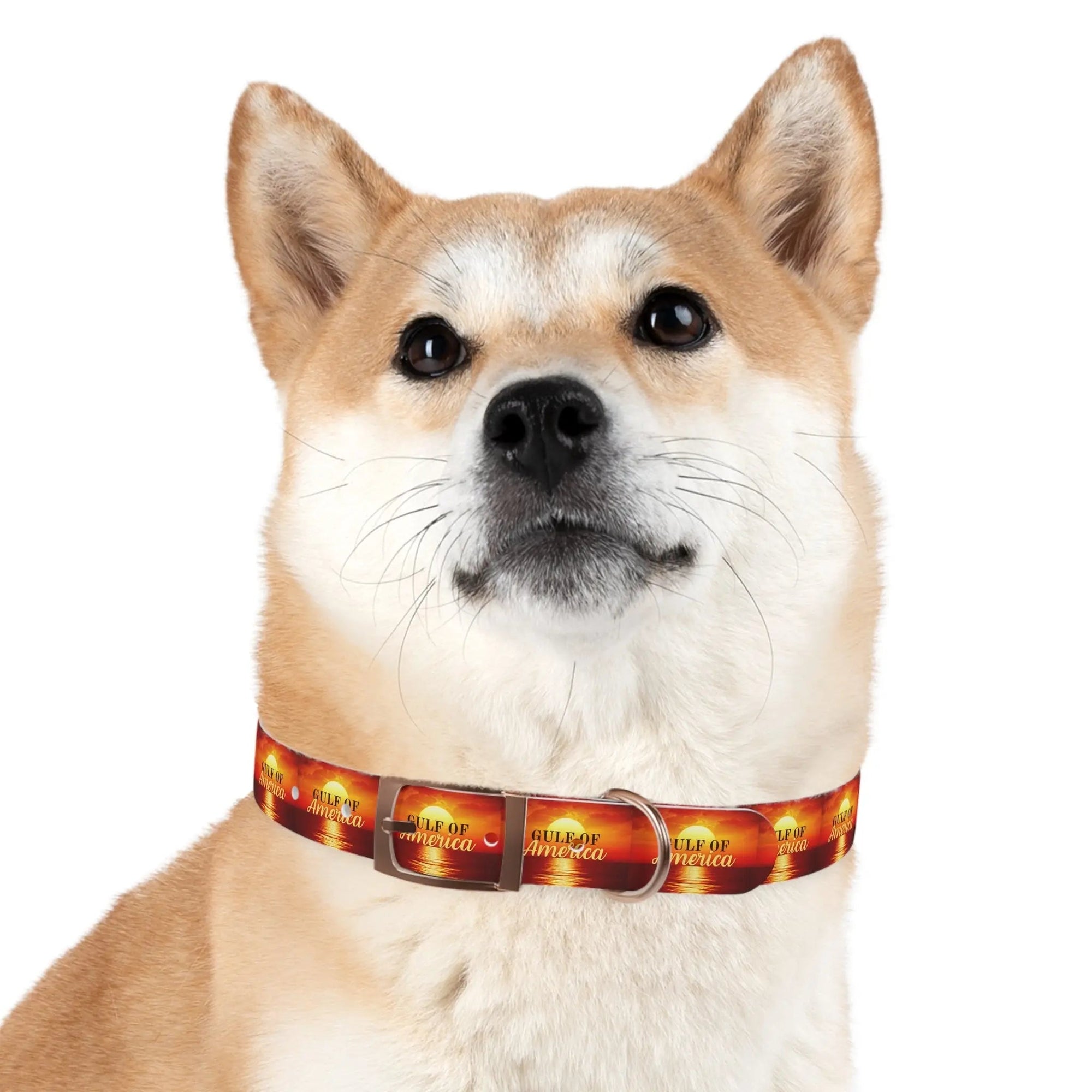 Trendy American Gulf Dog Collar - Stylish Pet Accessory - Pet Supplies - EpiAl's Shop