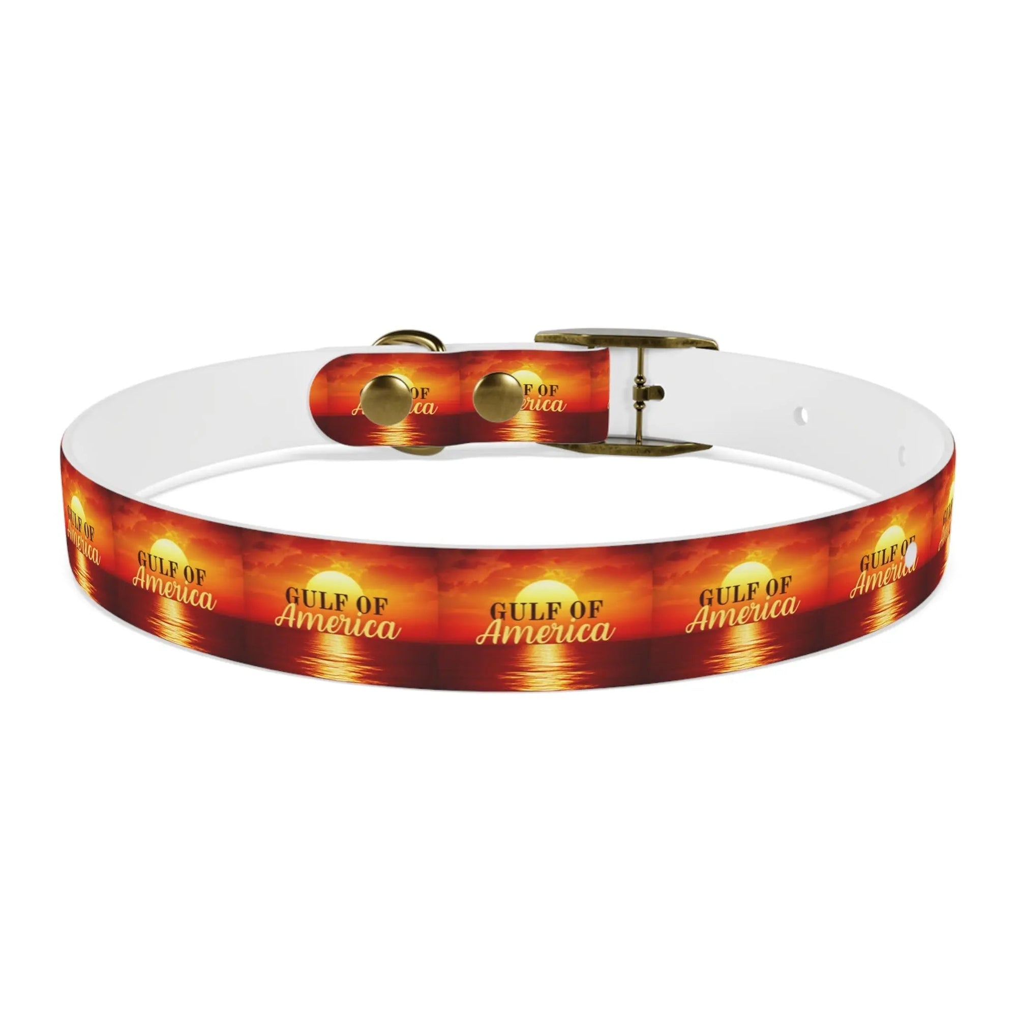 Trendy American Gulf Dog Collar - Stylish Pet Accessory - Pet Supplies - EpiAl's Shop
