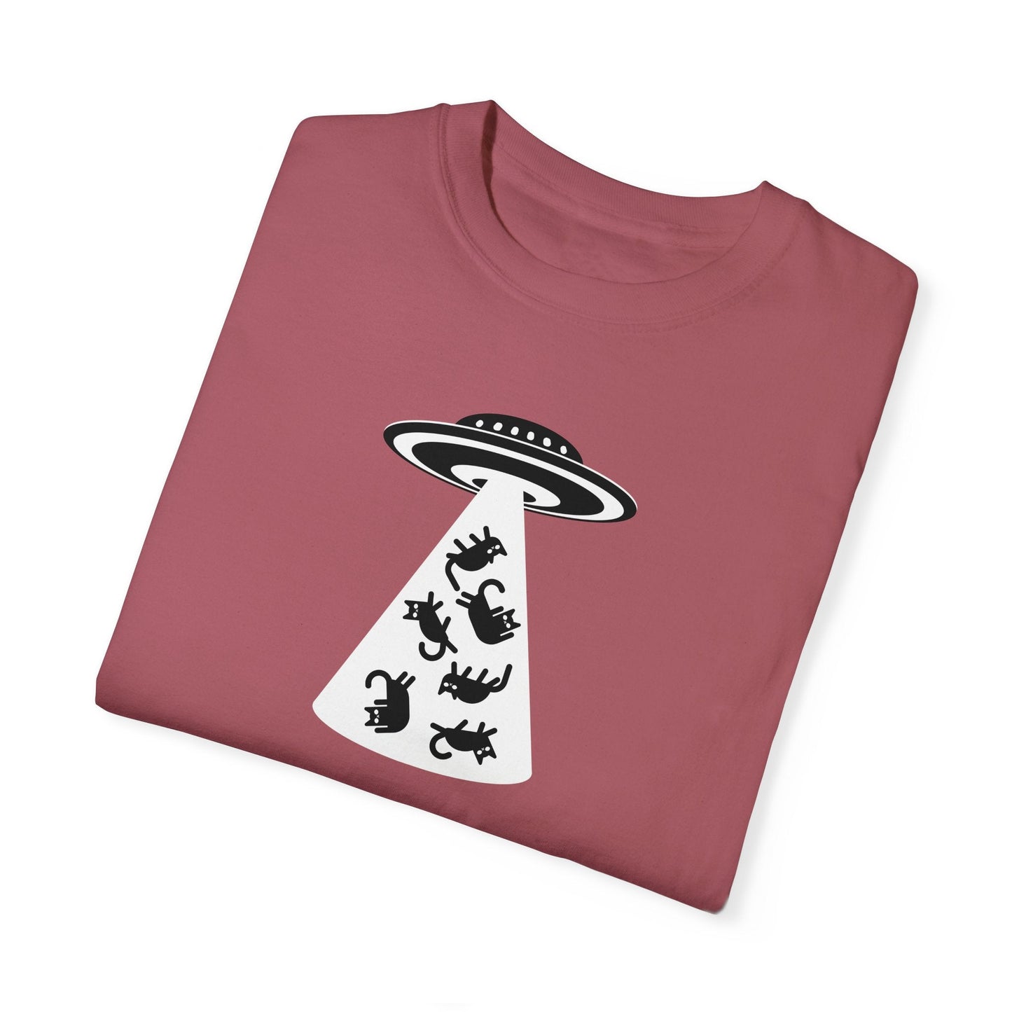 UFO Cat Unisex Garment - Dyed T - shirt - T - Shirt - Epileptic Al’s Shop