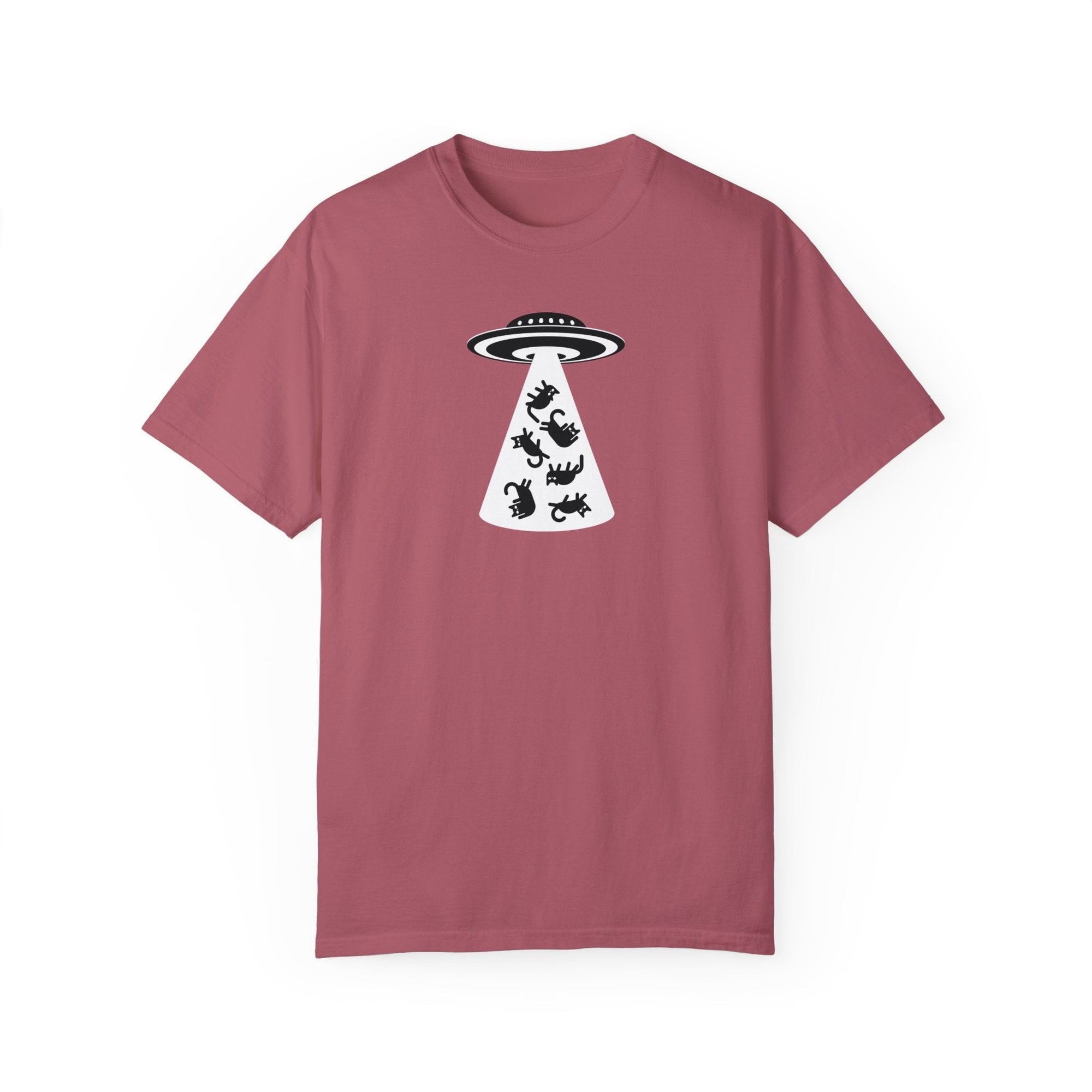 UFO Cat Unisex Garment - Dyed T - shirt - T - Shirt - Epileptic Al’s Shop