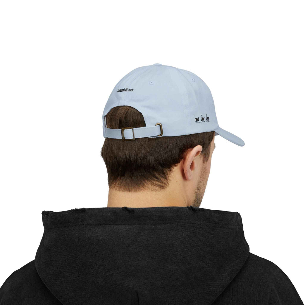 Warning: Pet at Your Own Risk Hat – Sassy Cat Embroidered Dad Cap - Hats, Baseball & Trucker - EpiAl's Shop