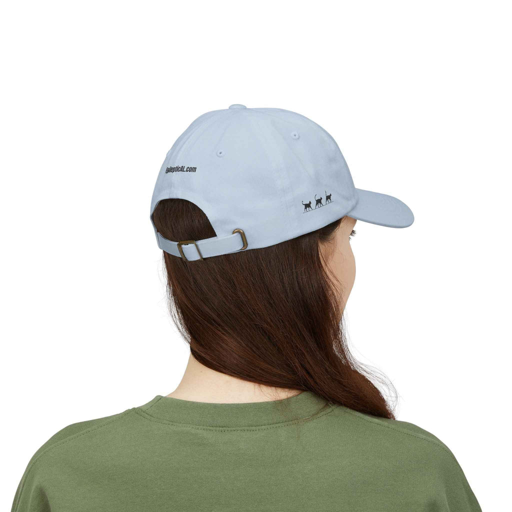 Warning: Pet at Your Own Risk Hat – Sassy Cat Embroidered Dad Cap - Hats, Baseball & Trucker - EpiAl's Shop